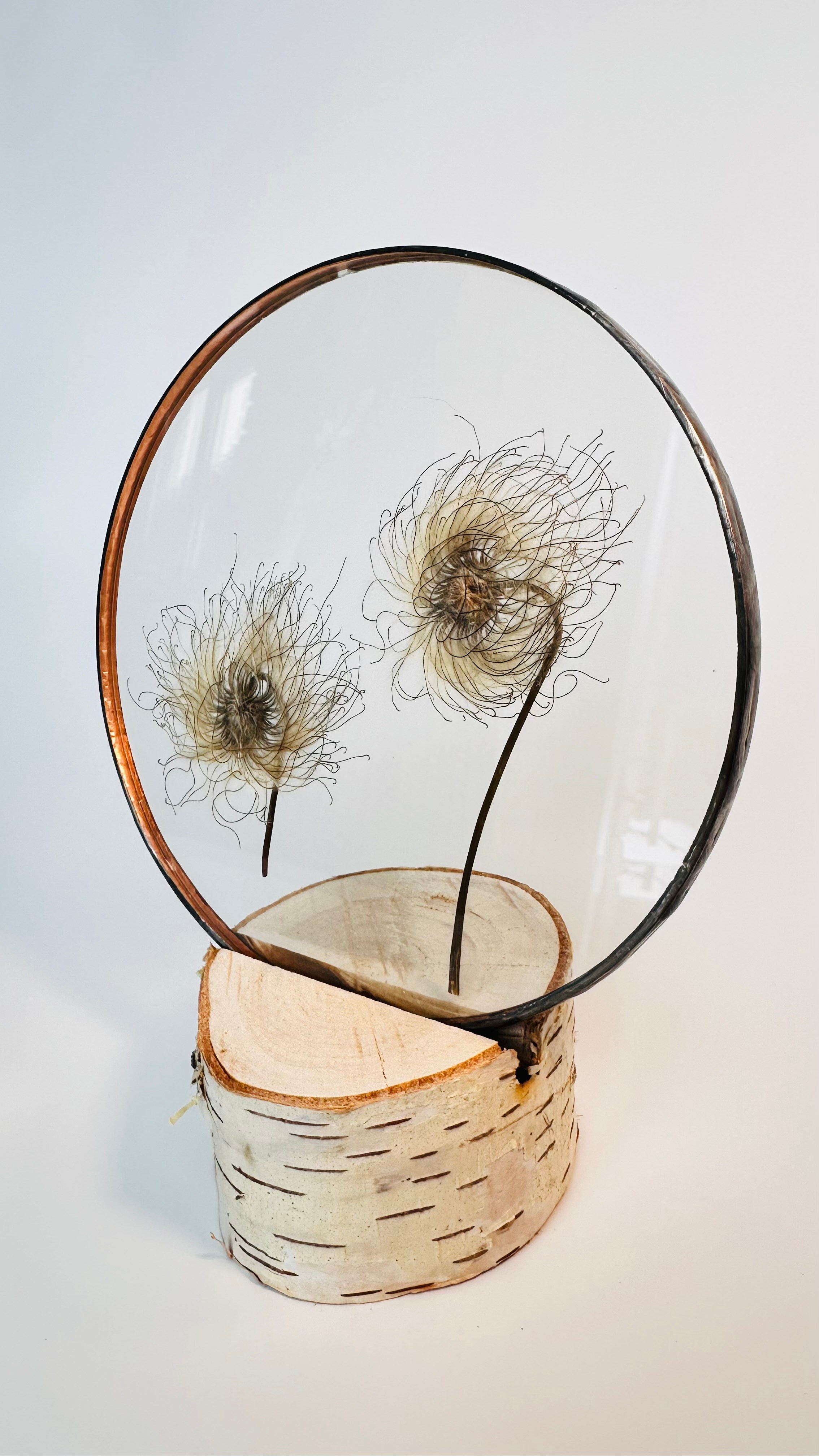 Гербарий в стекле с сухоцветами (витраж в технике тиффани). Гербарий в стекле, интерьерные панно, витражи с сухоцветами в технике тиффани