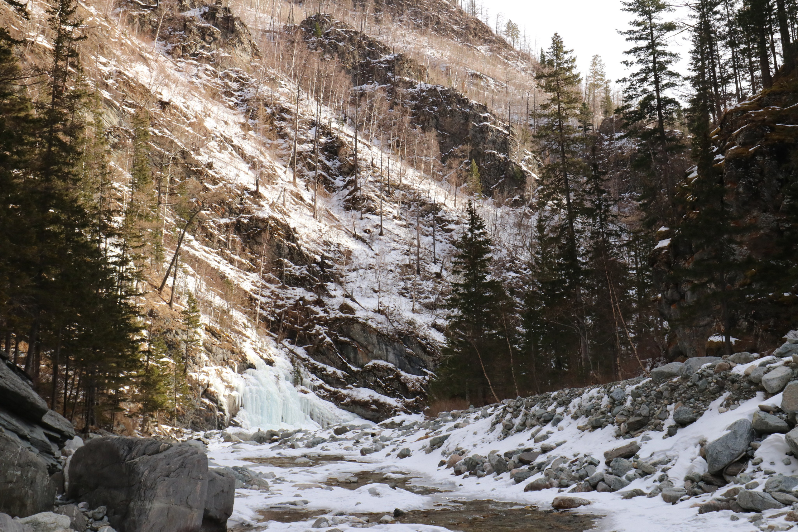 Аршан. Март 2023. Путешественник-фотограф из Санкт-Петербурга Татьяна Свистулина