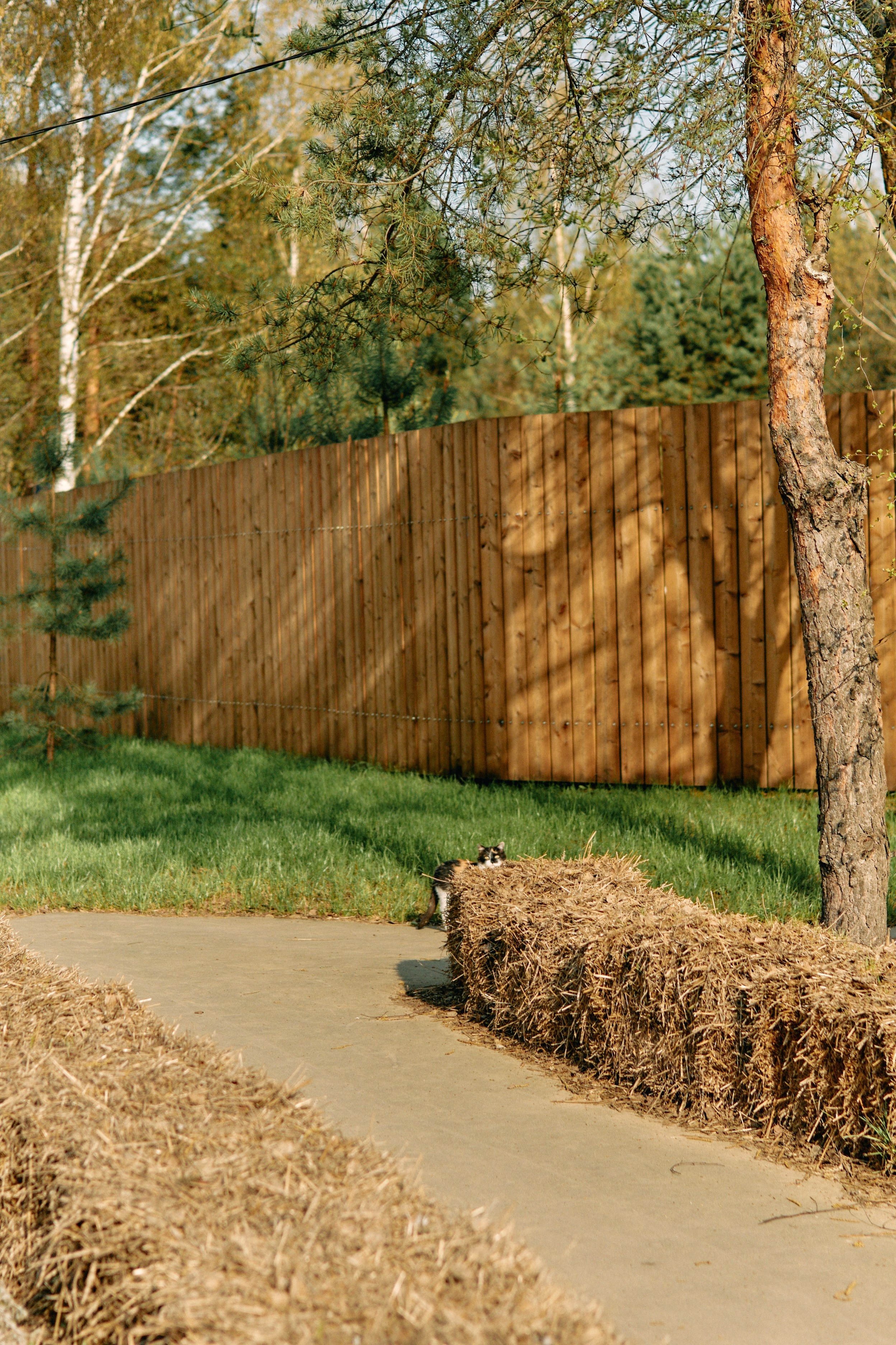 Бутик-отель Поле летом. Профессиональный Фотограф во Владимире, в Москве и в Суздале — Полина Романычева