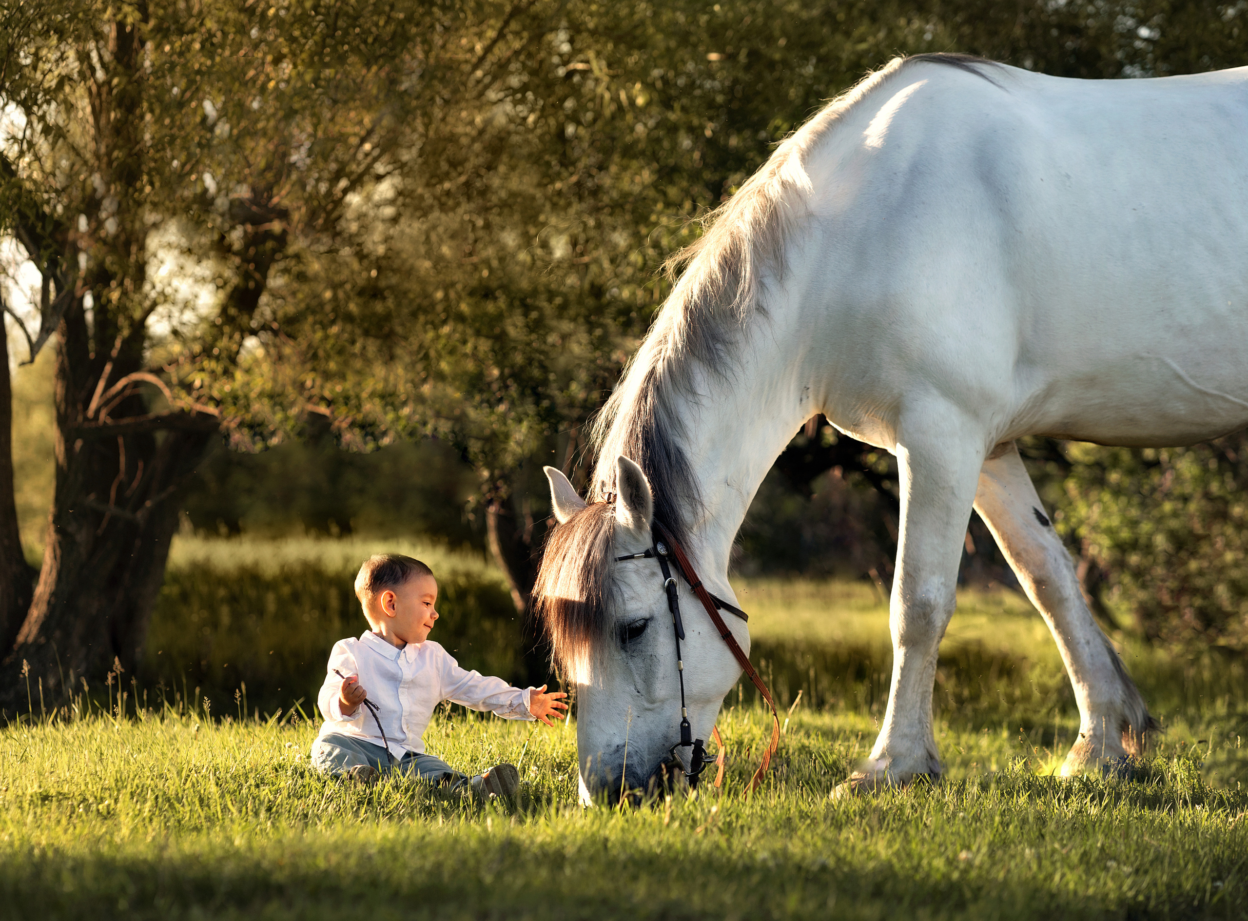 Детская фотосъемка. Семейный и детский фотограф в Хабаровске Ковалева Таисия