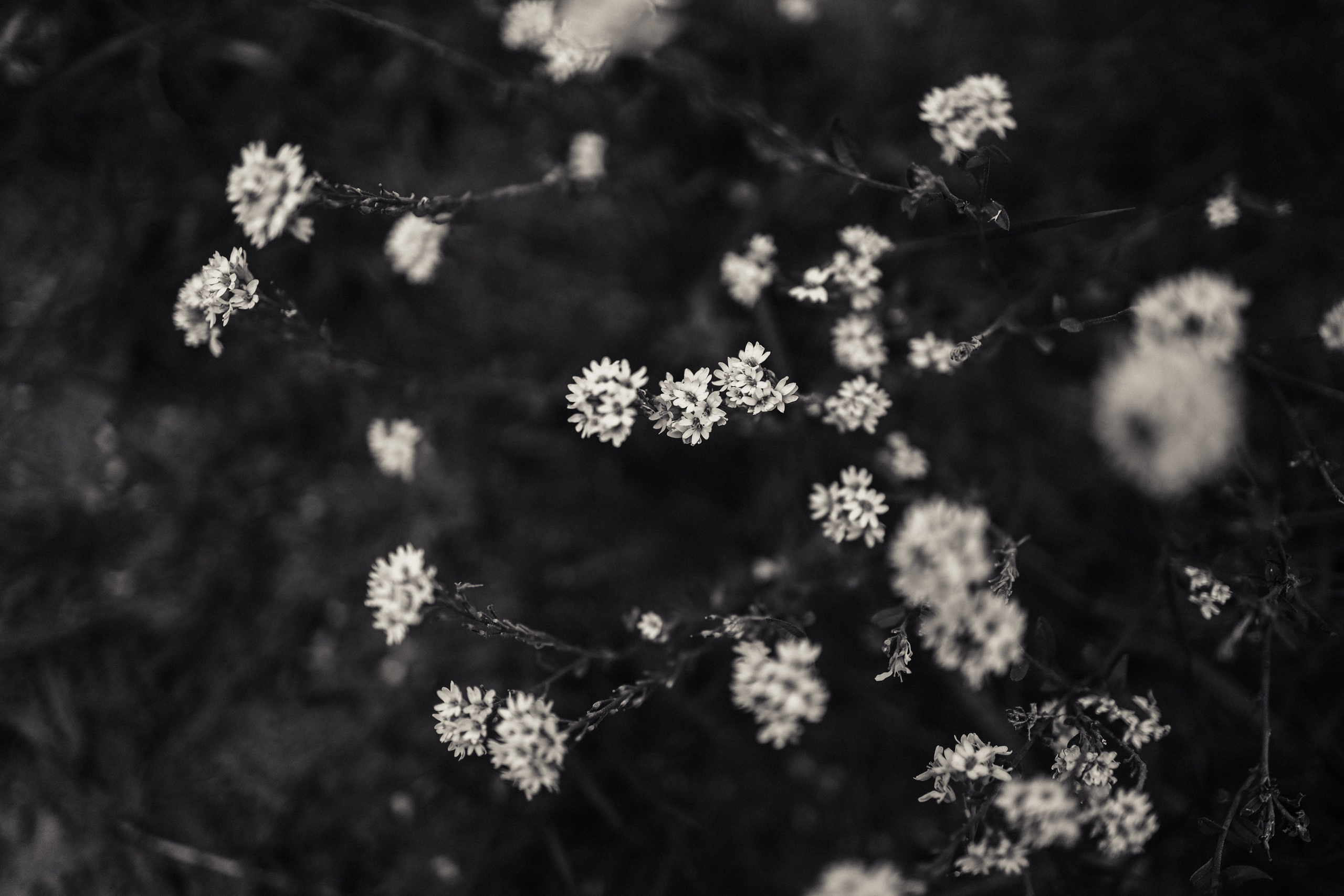 Череповец. Анна Мильч