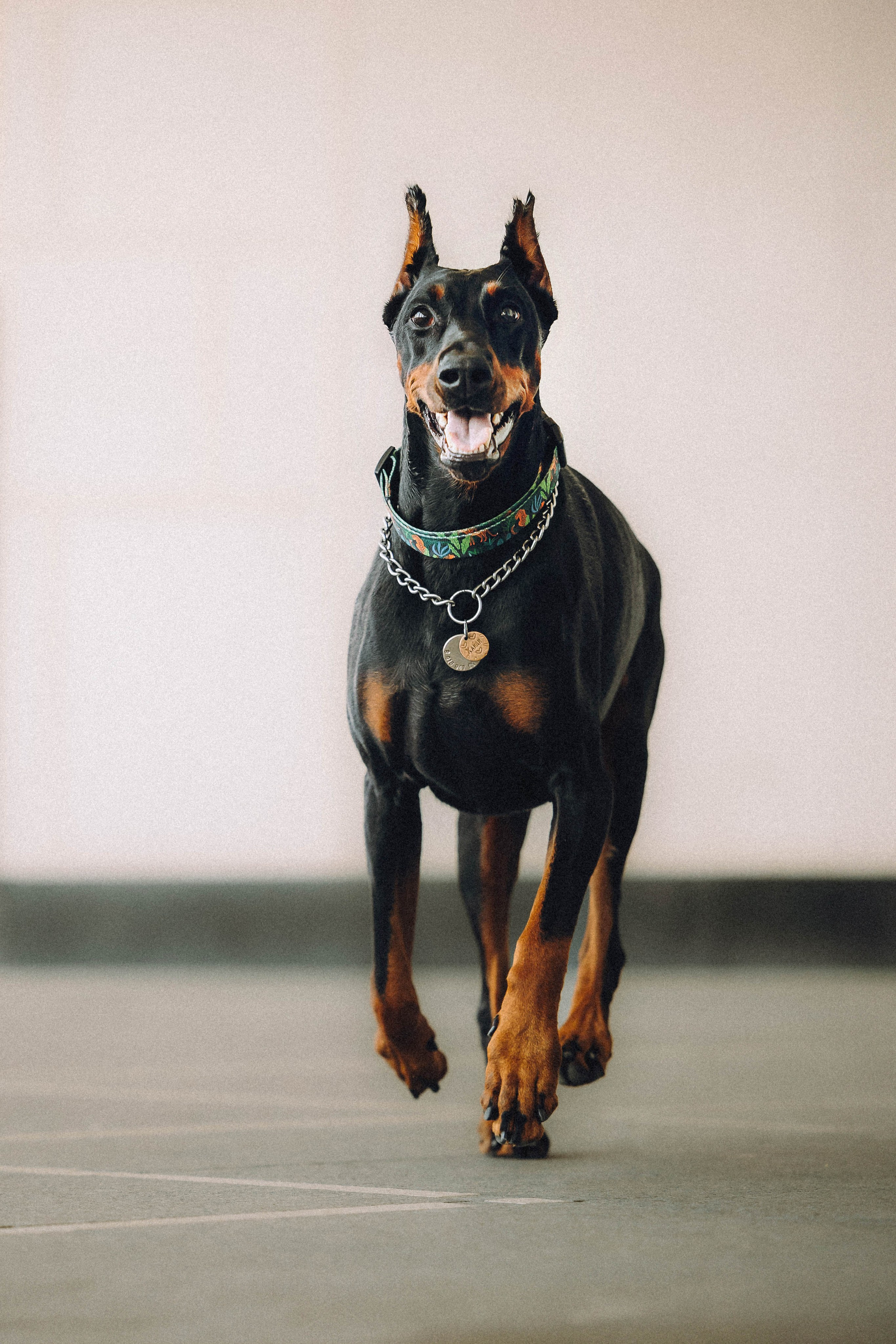 Паша и Хайди