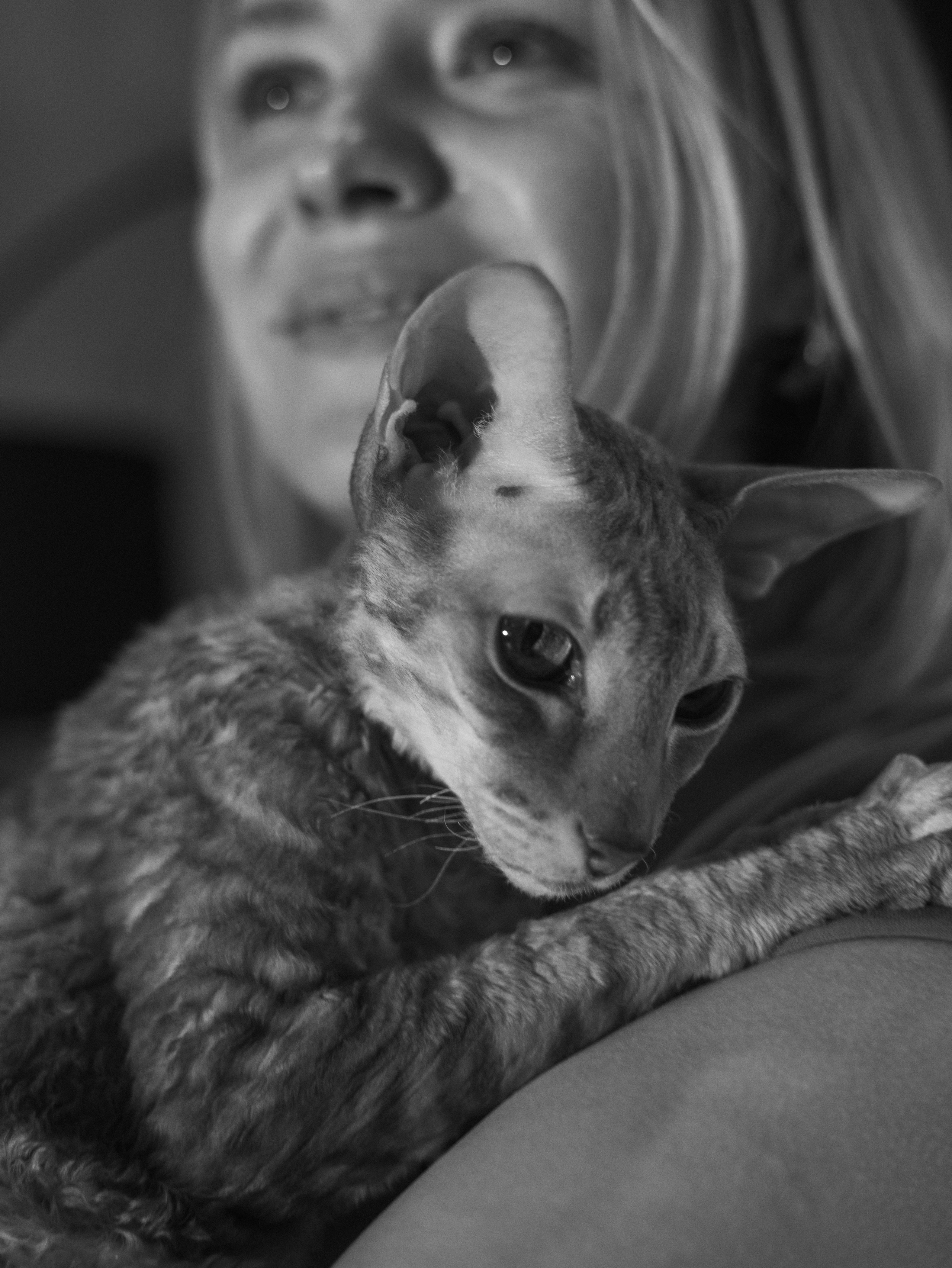 День рождение Зенита. Фотограф-анималист в Москве Кириллова Татьяна