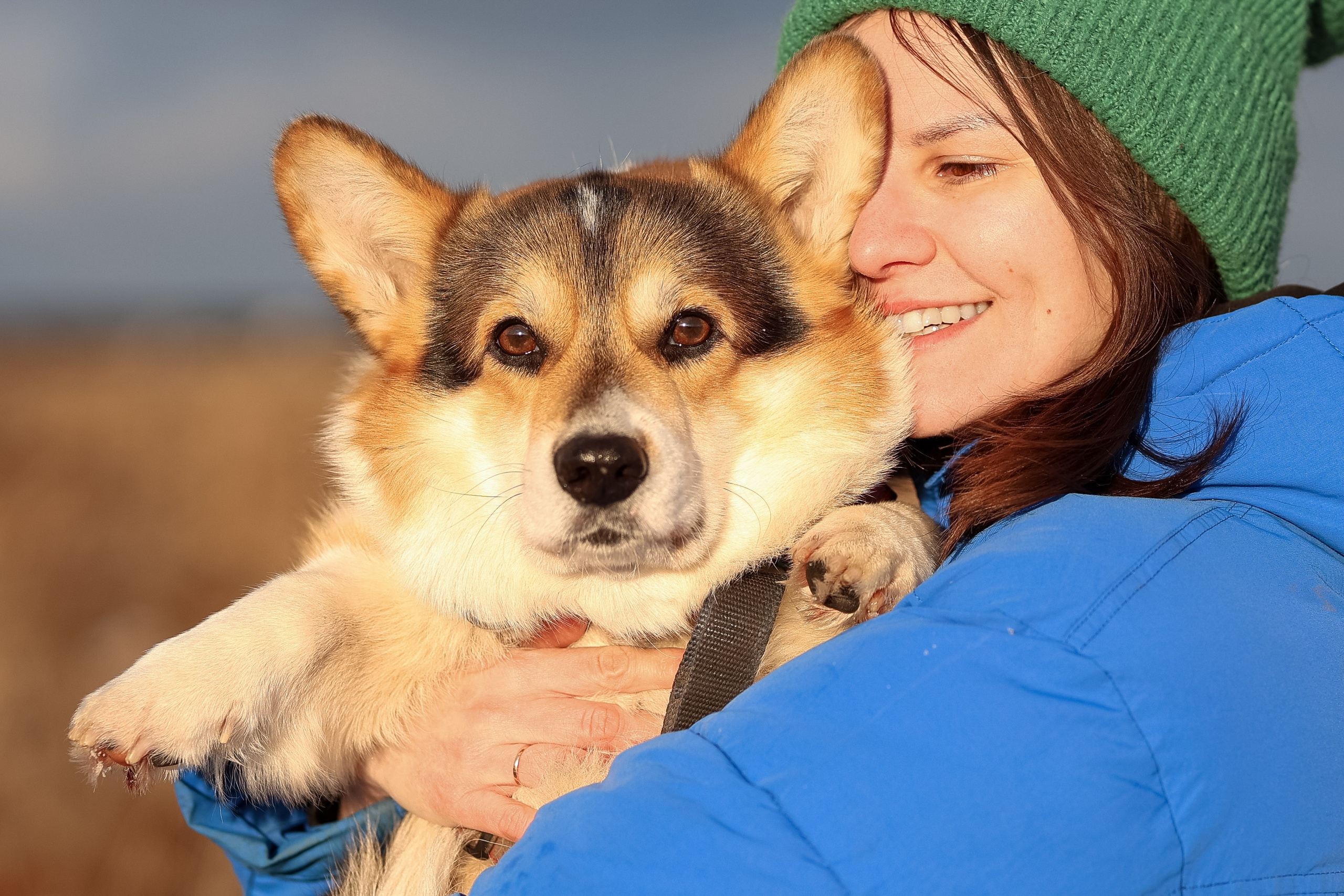 Трой, Балу и Катя. Фотограф-анималист в Москве Кириллова Татьяна