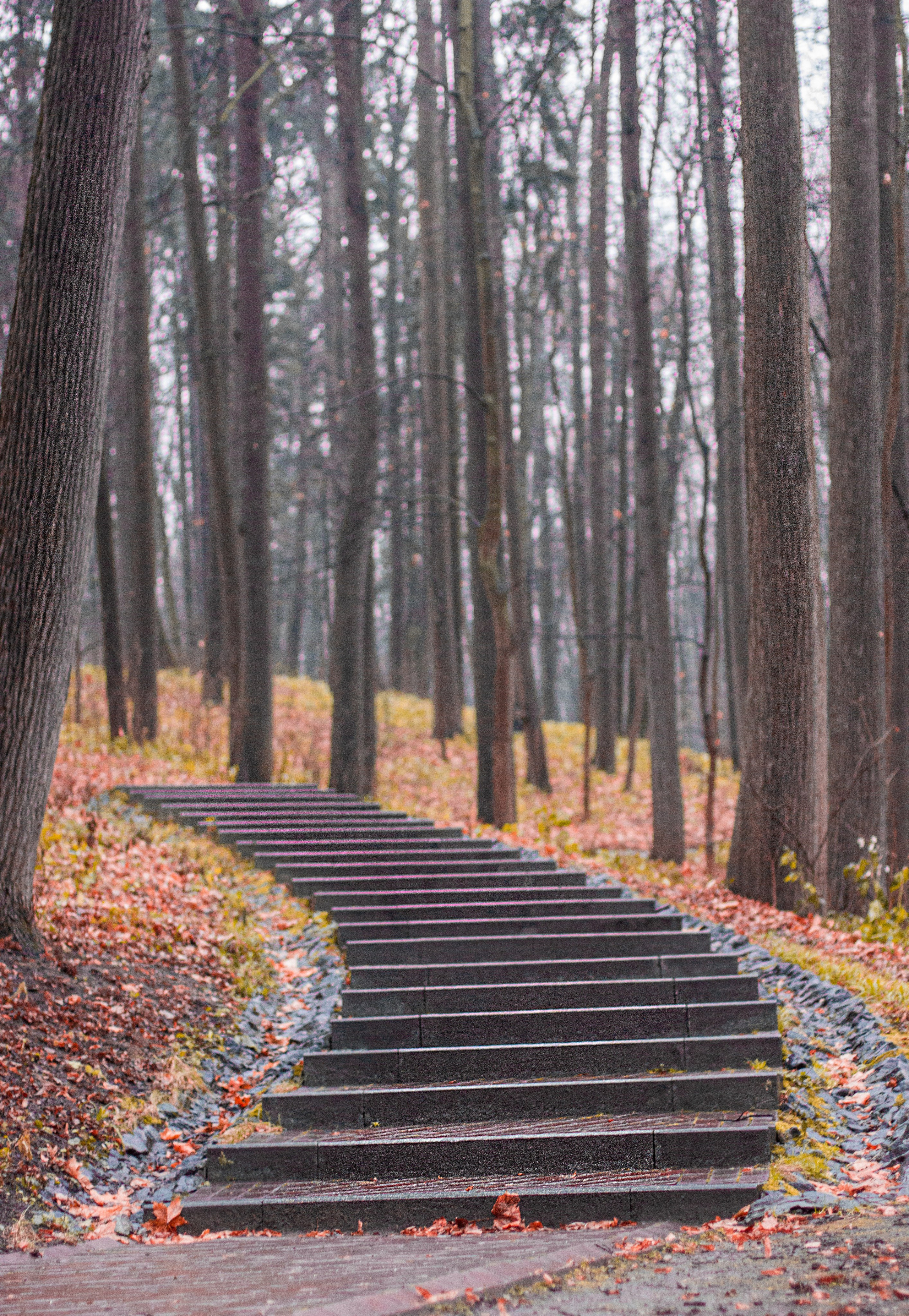 Фотокартины. Семейный фотограф Ирина Ильиных-Вольная в Москве и не только