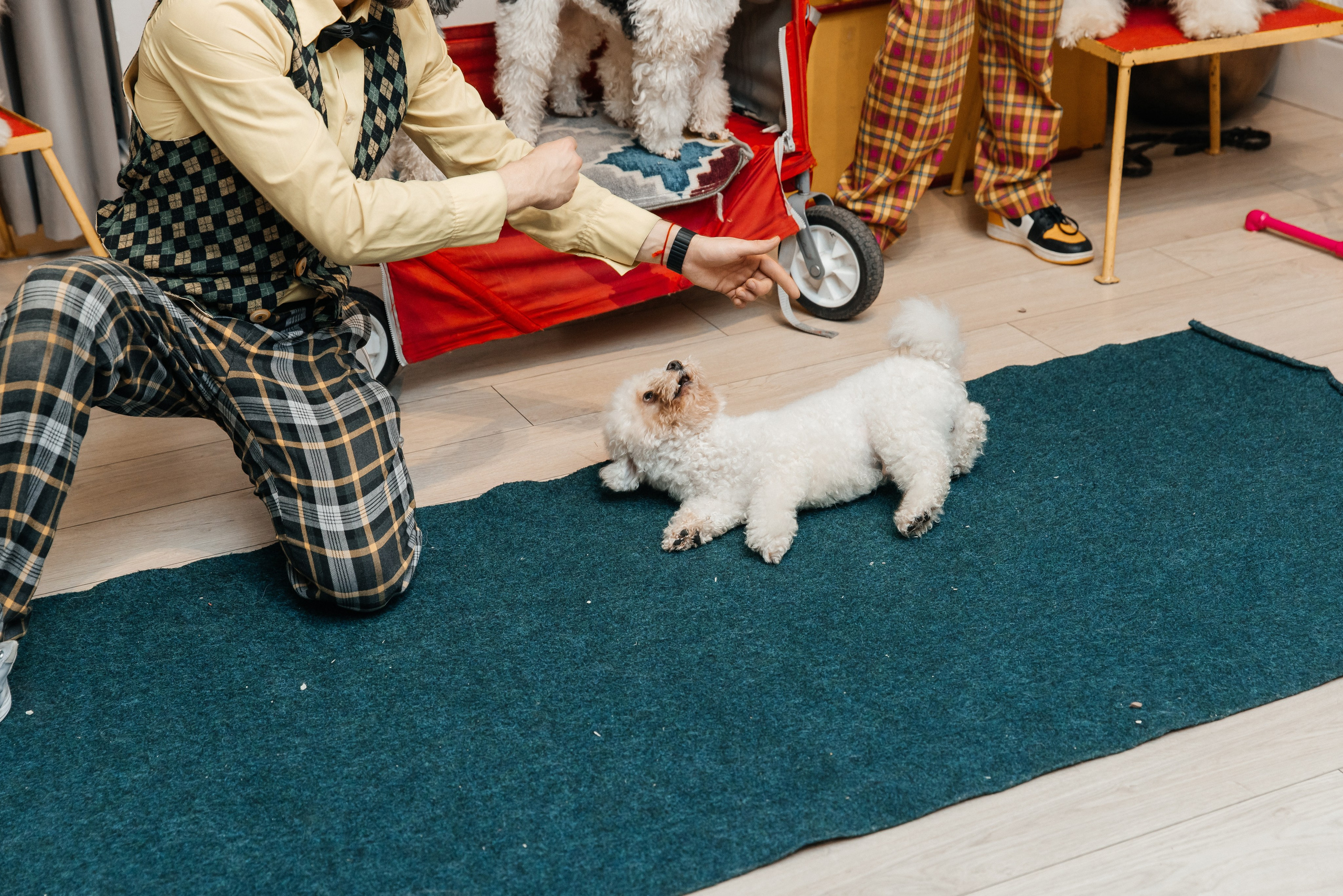 Даниил 4 года. Фотограф Москва Шептаев Артём