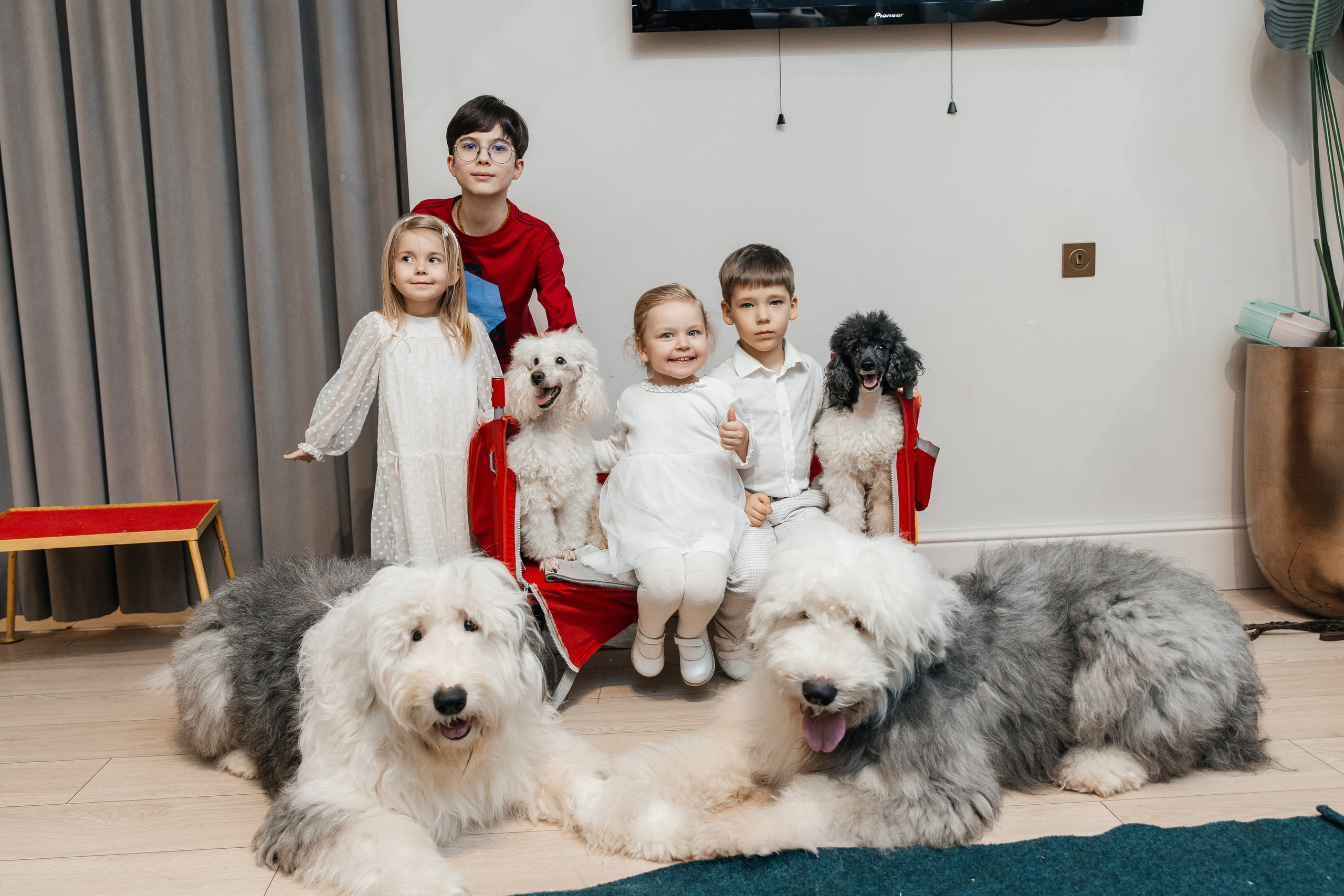 Даниил 4 года. Фотограф Москва Шептаев Артём