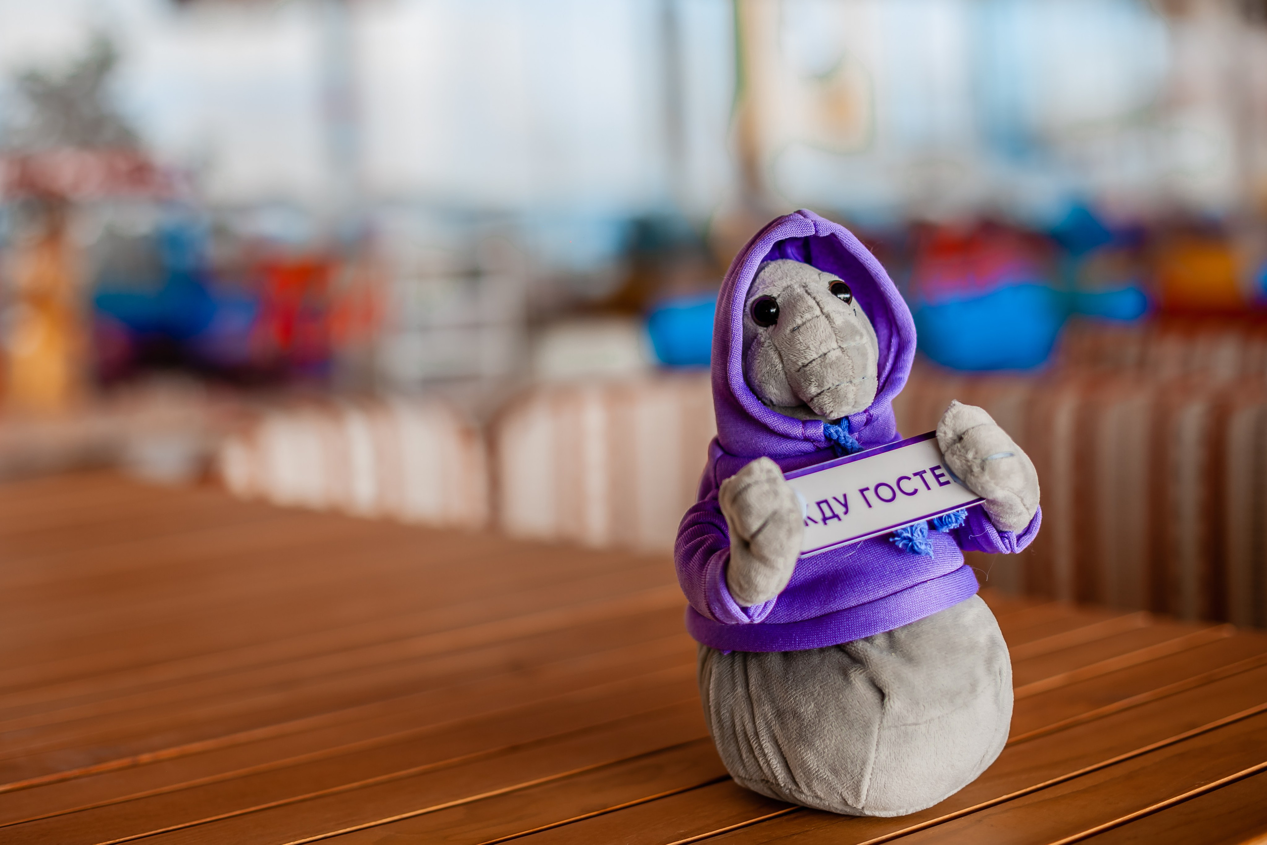 Открытие детского ресторана Чайка Kids в Ялте. Репортажный фотограф Ялта