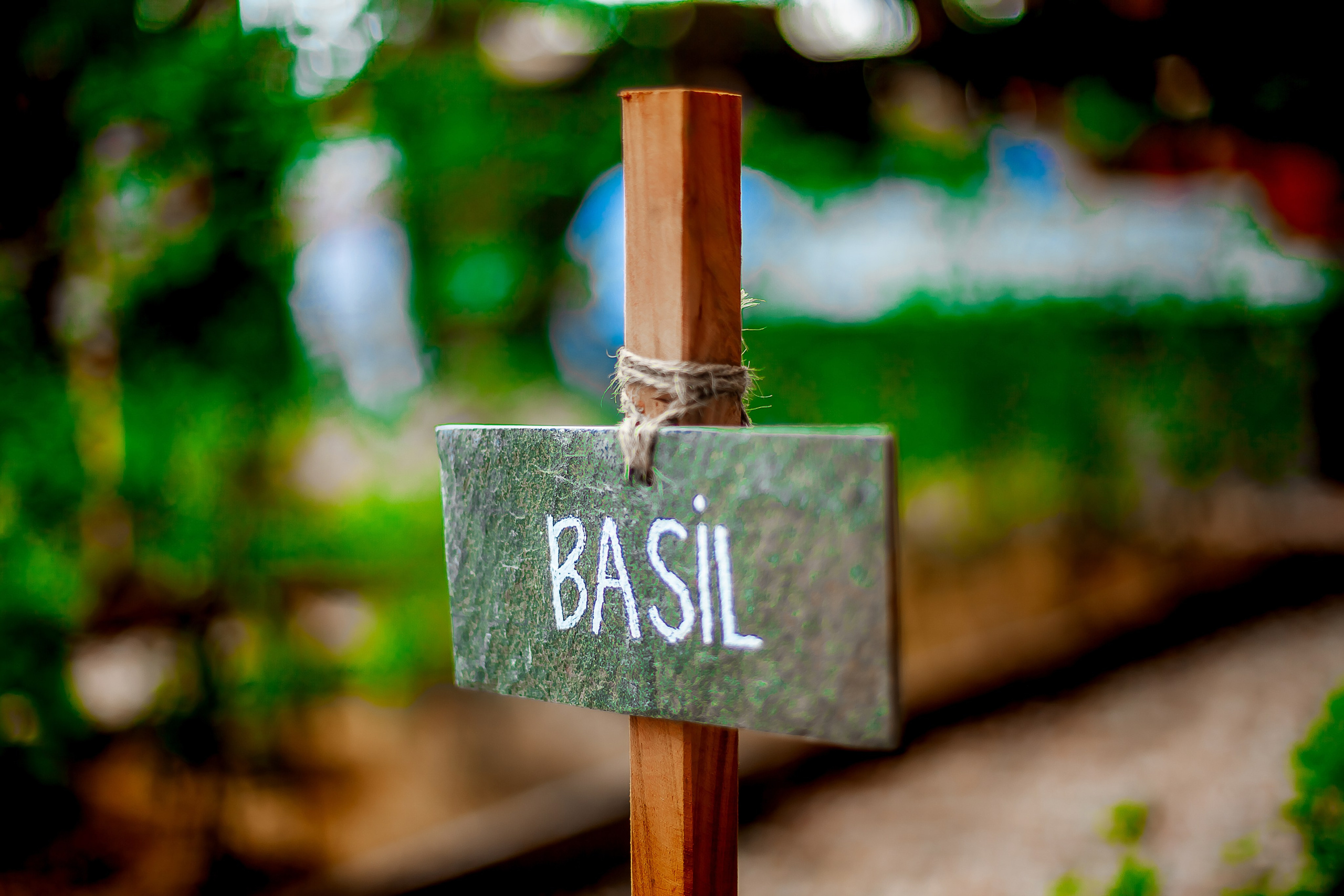 Репортажный фотограф Ялта. Репортажный фотограф Ялта