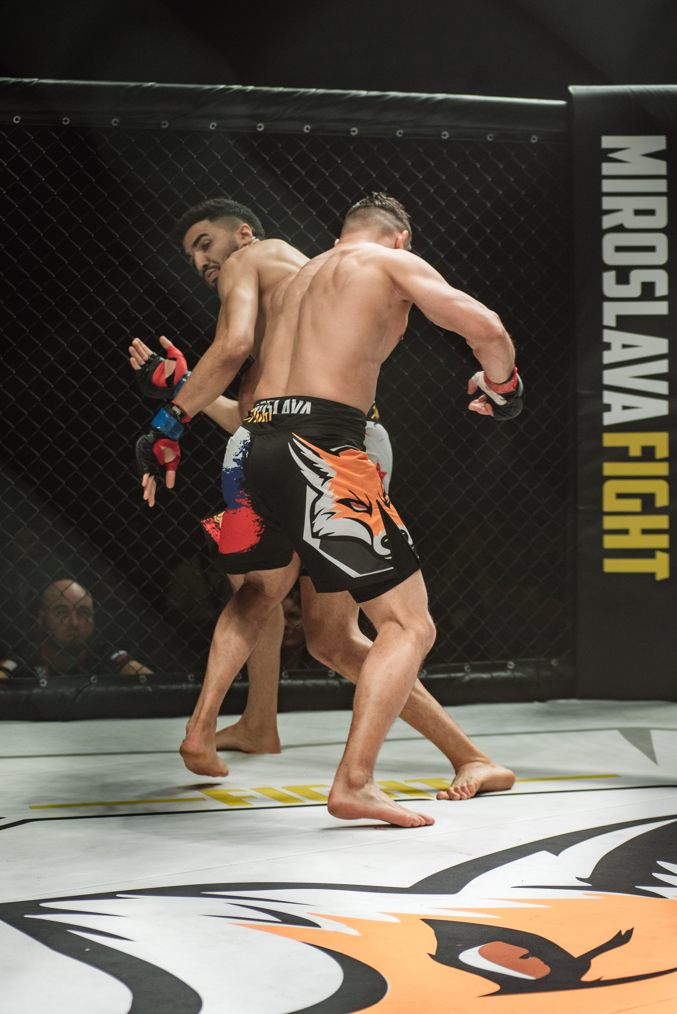 Miroslava Fight