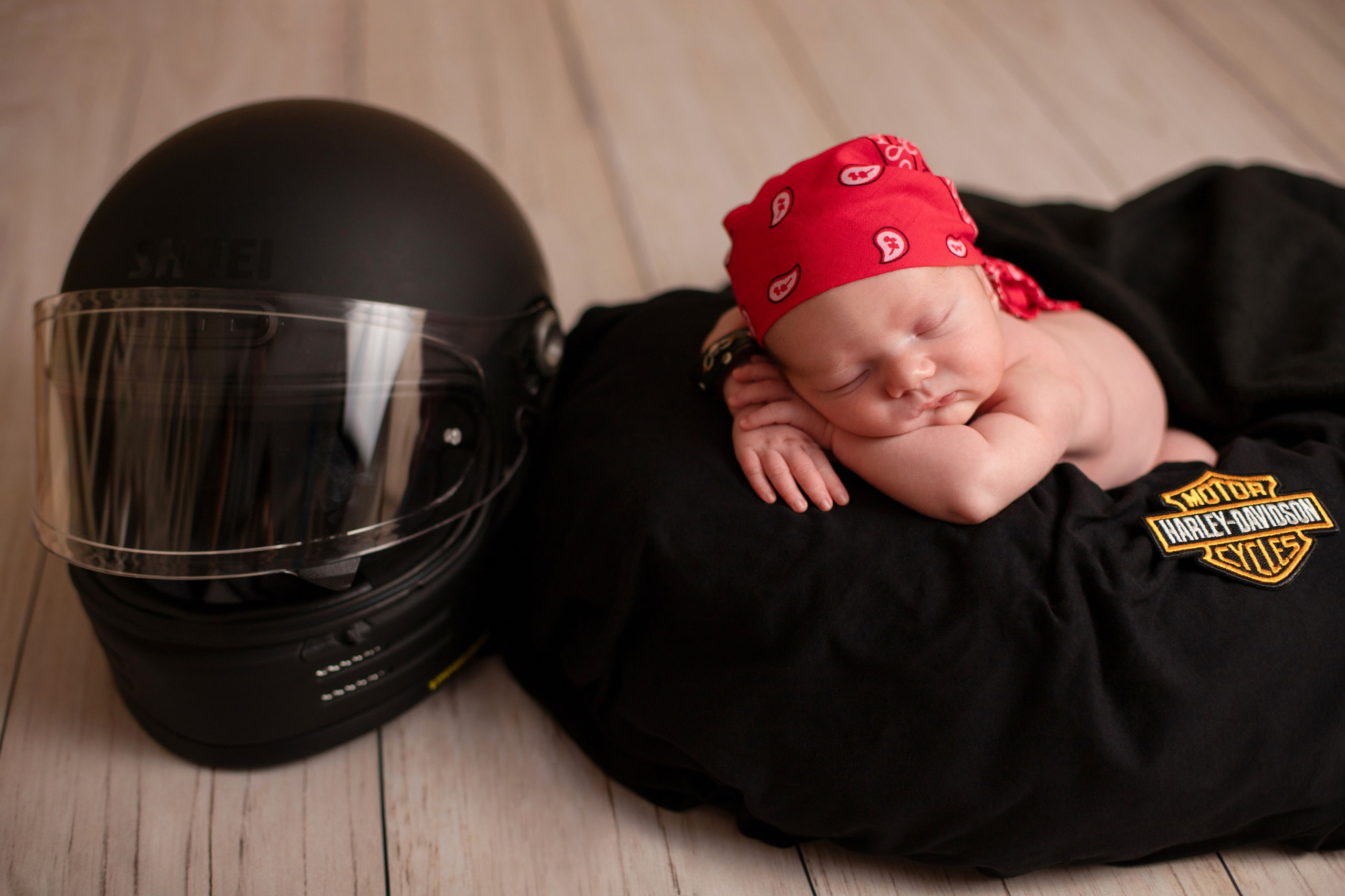 Фотограф в Северском районе| г. Краснодар Алена Заливчая