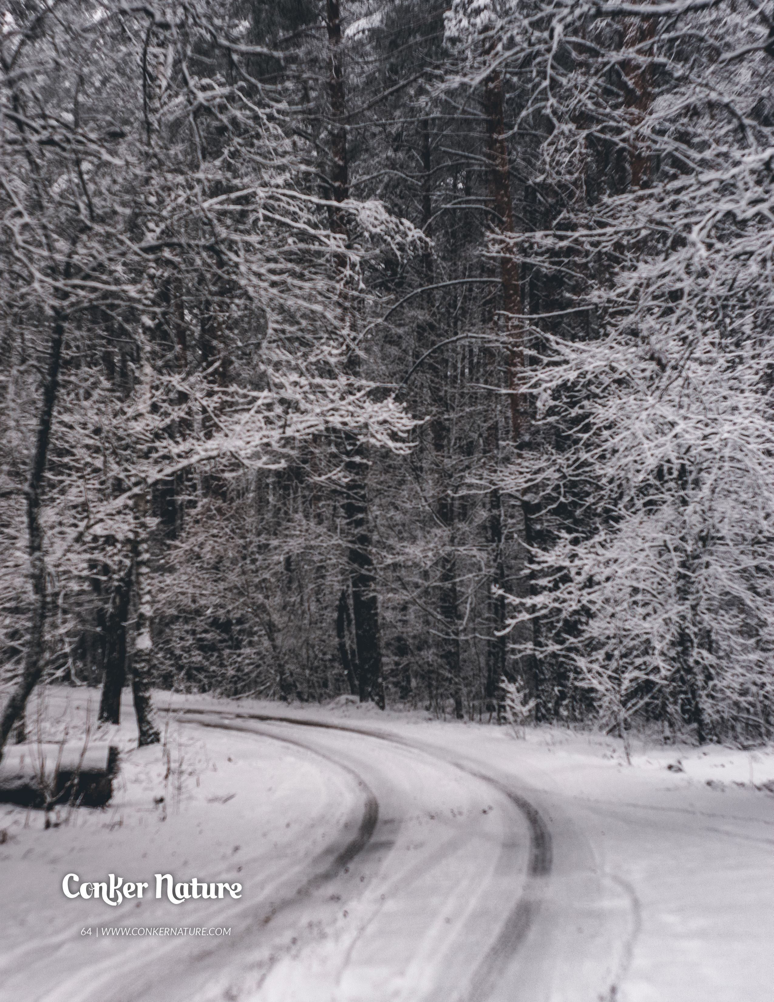 My publications in printed publications, magazines. Фотограф (photographer) Lischinski Vitaliy