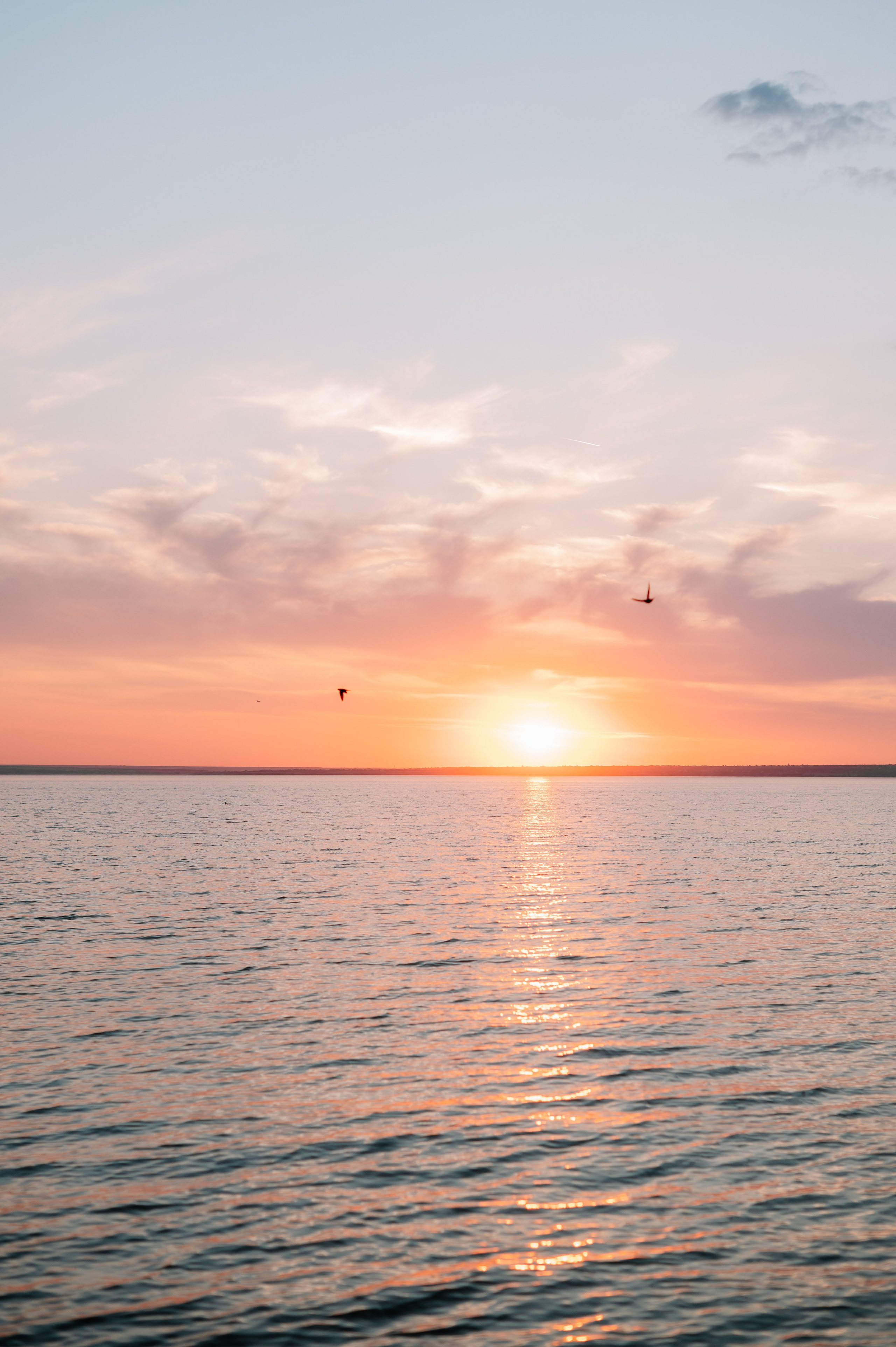 Илья и Женя. Свадебный фотограф