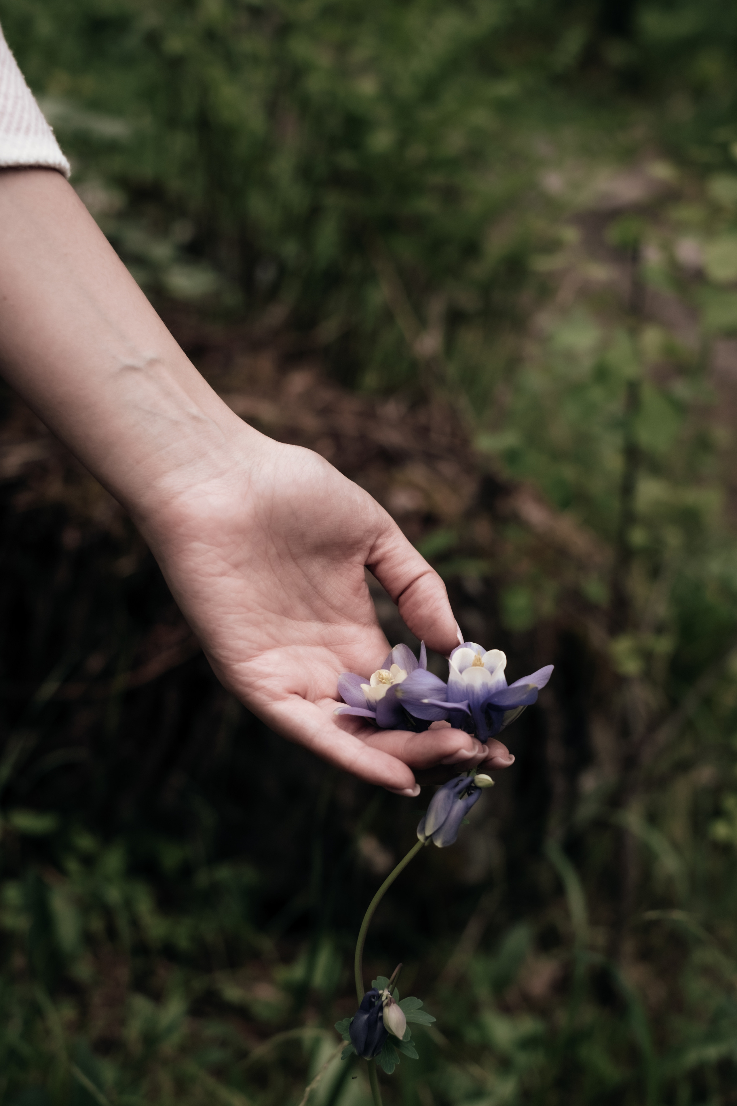 Фото-ретрит «Дикие и босые». Фотограф в Барнауле и на Алтае Маша Савова