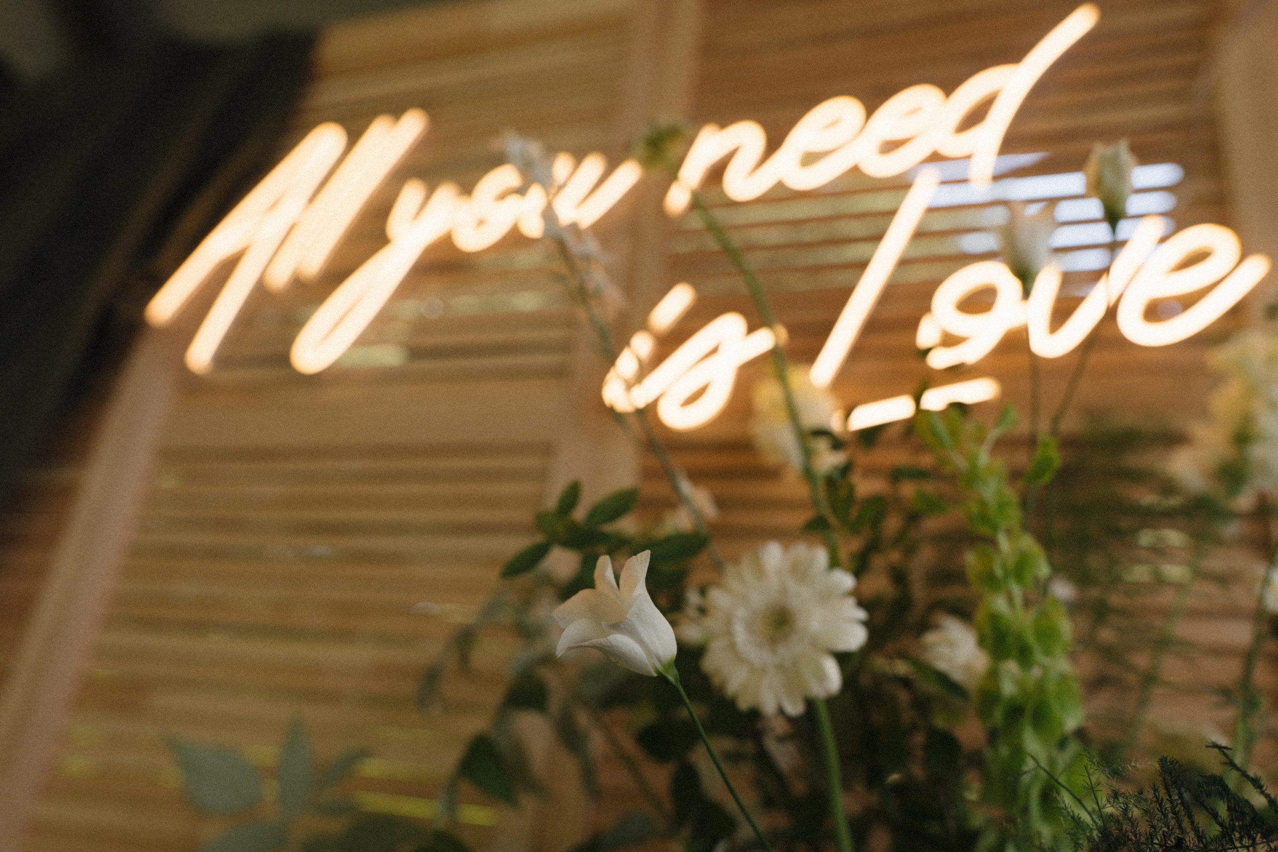 Forest Symphony. Фотограф в Санкт-Петербурге Александр Дымов