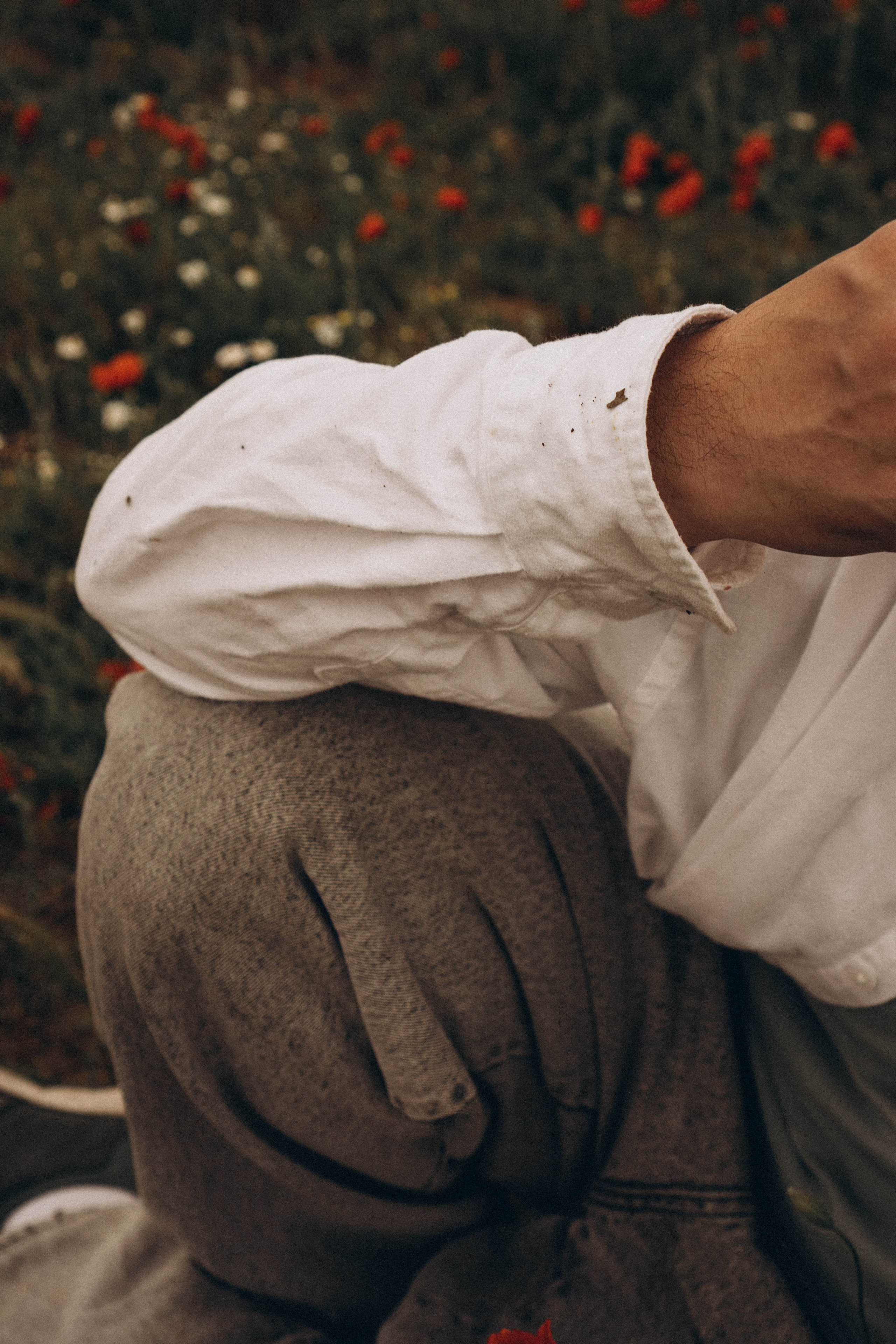 Маки. Профессиональный фотограф, Санкт-Петербург — Виктория Богомолова