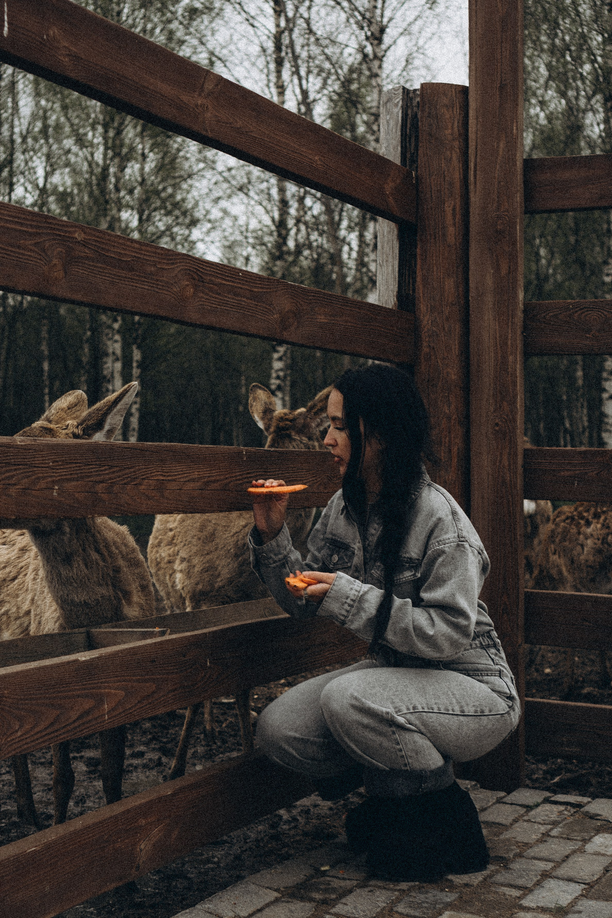 ОЛЕНЬЯ ФЕРМА В ТВЕРИ. Профессиональный фотограф, Санкт-Петербург — Виктория Богомолова