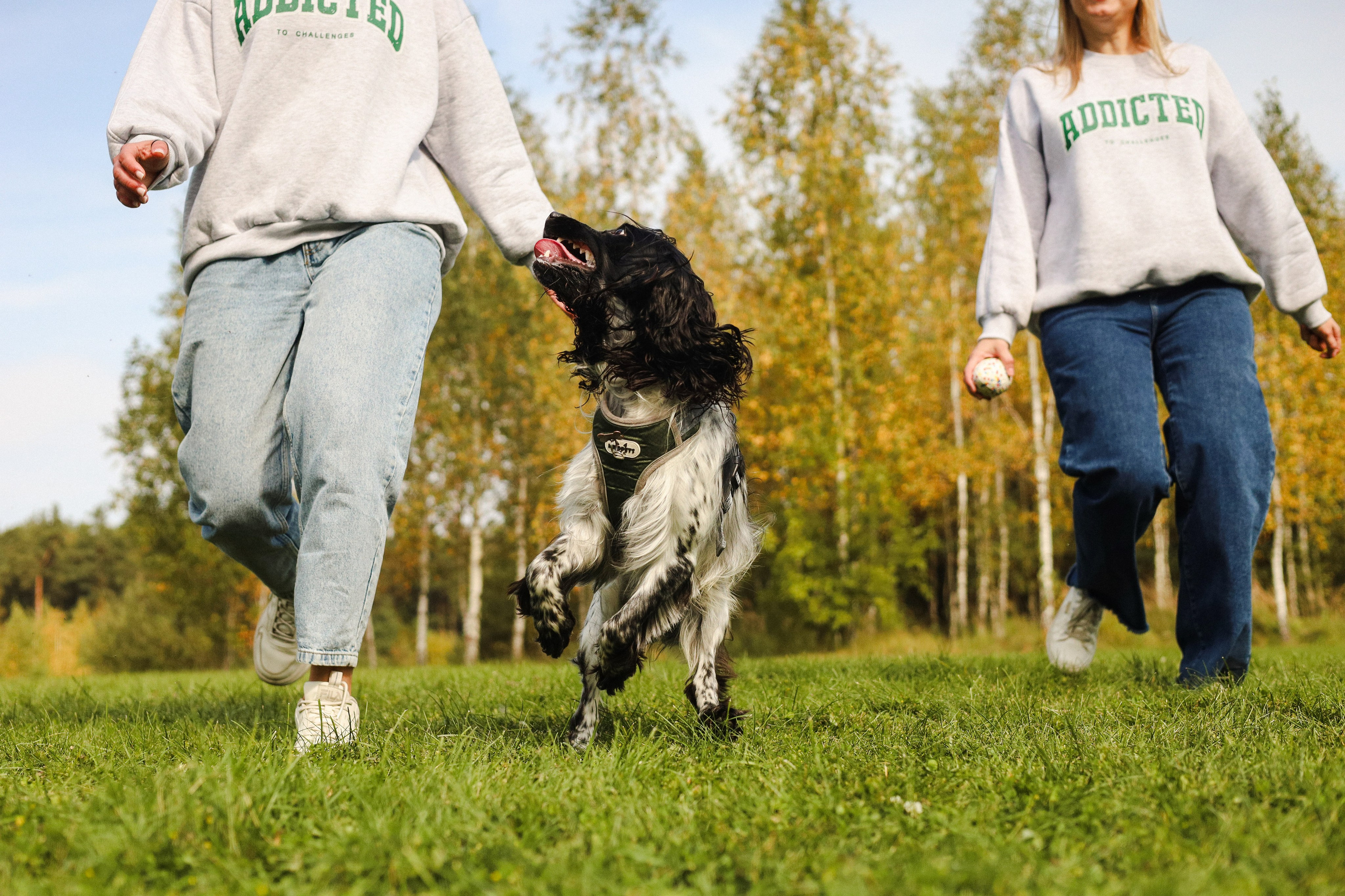 Купер и его семья. Фотограф-анималист Ксения Шевцова|Москва