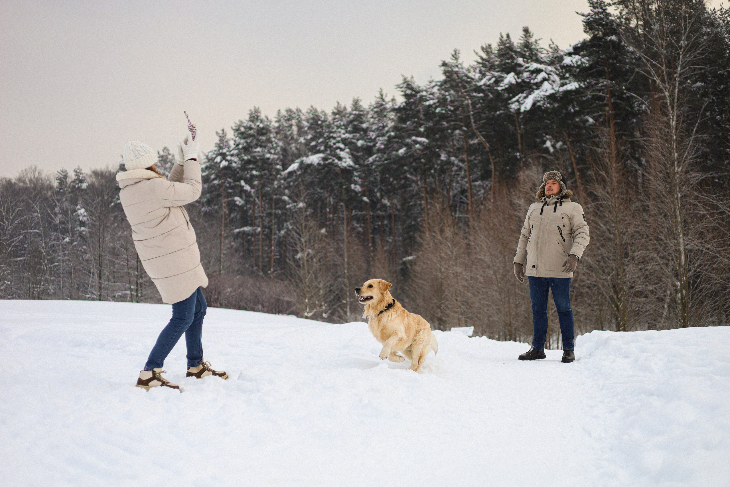 Стивен, Лена и Миша. Фотограф-анималист Ксения Шевцова|Москва