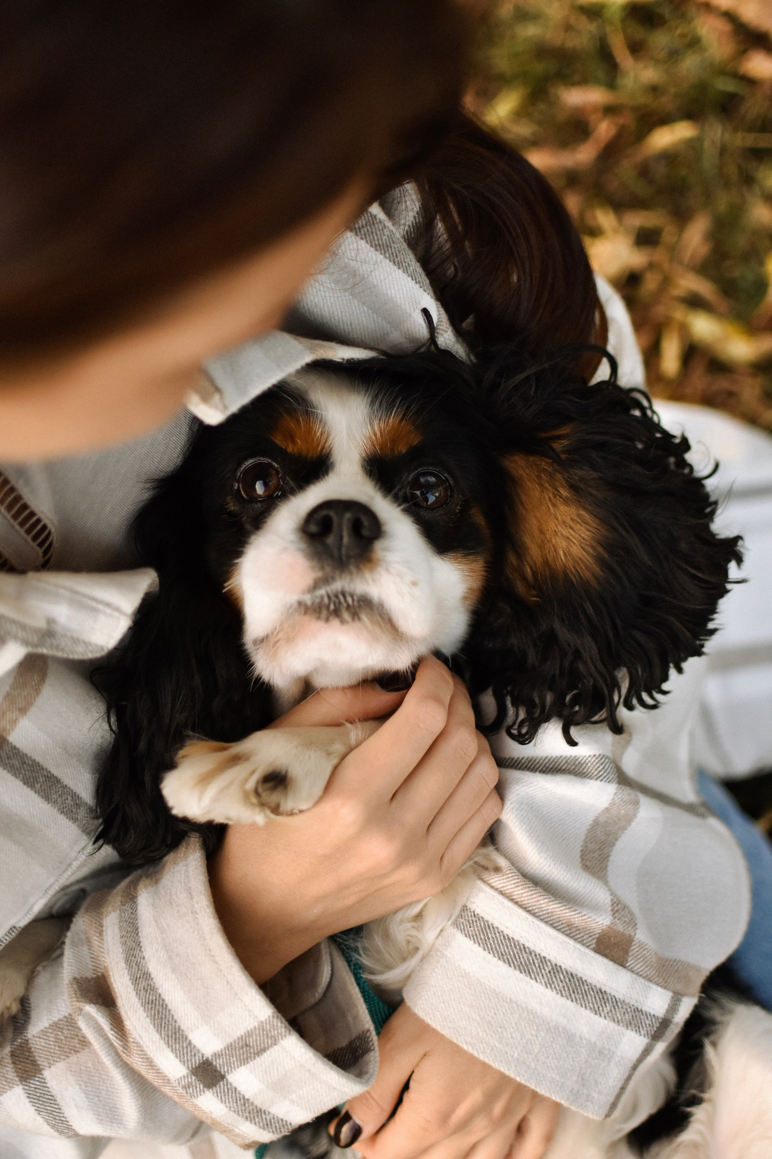 Молли, Кристина и Полина. Фотограф-анималист Ксения Шевцова|Москва