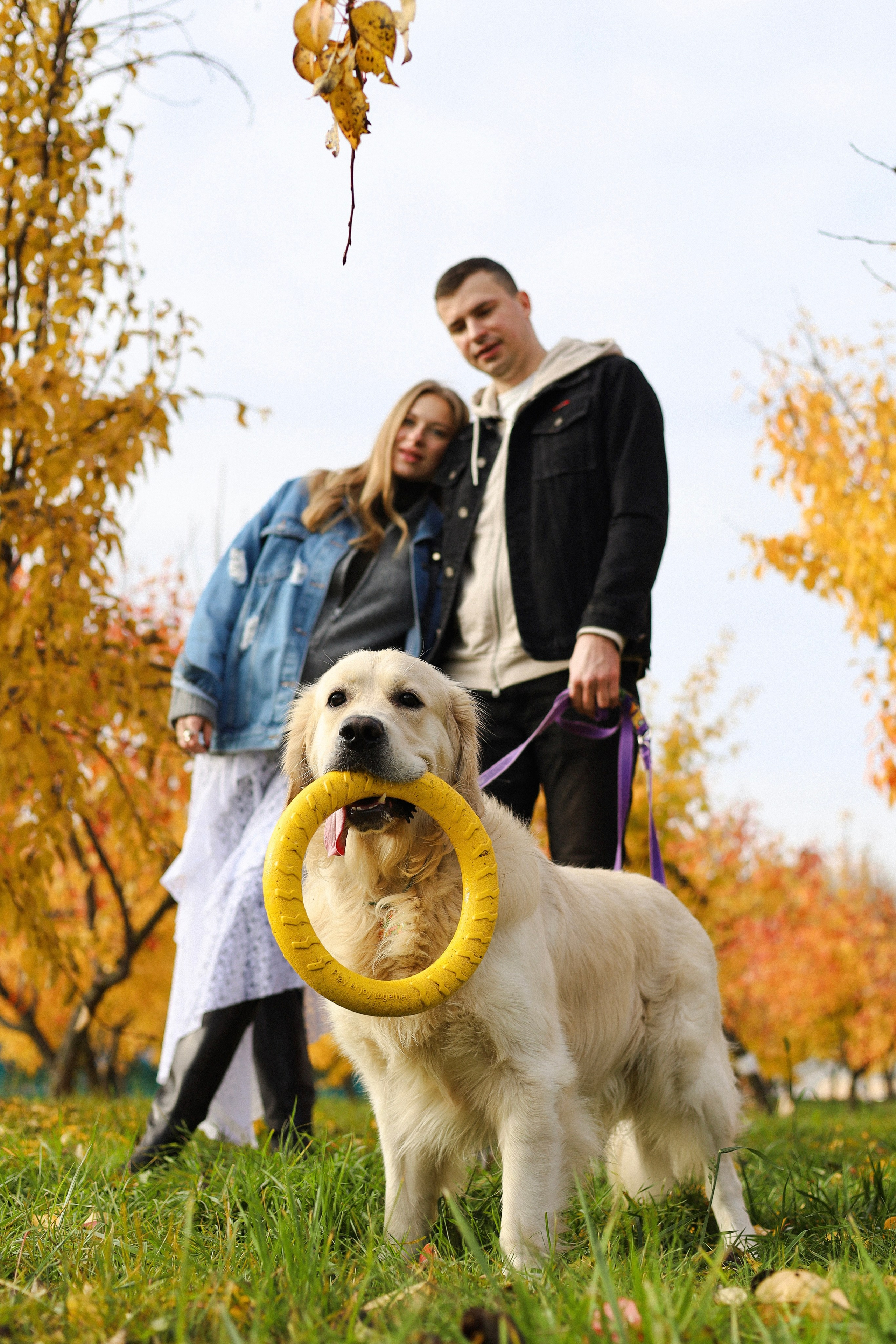 Фрэнк, Даша и Максим. Фотограф-анималист Ксения Шевцова|Москва