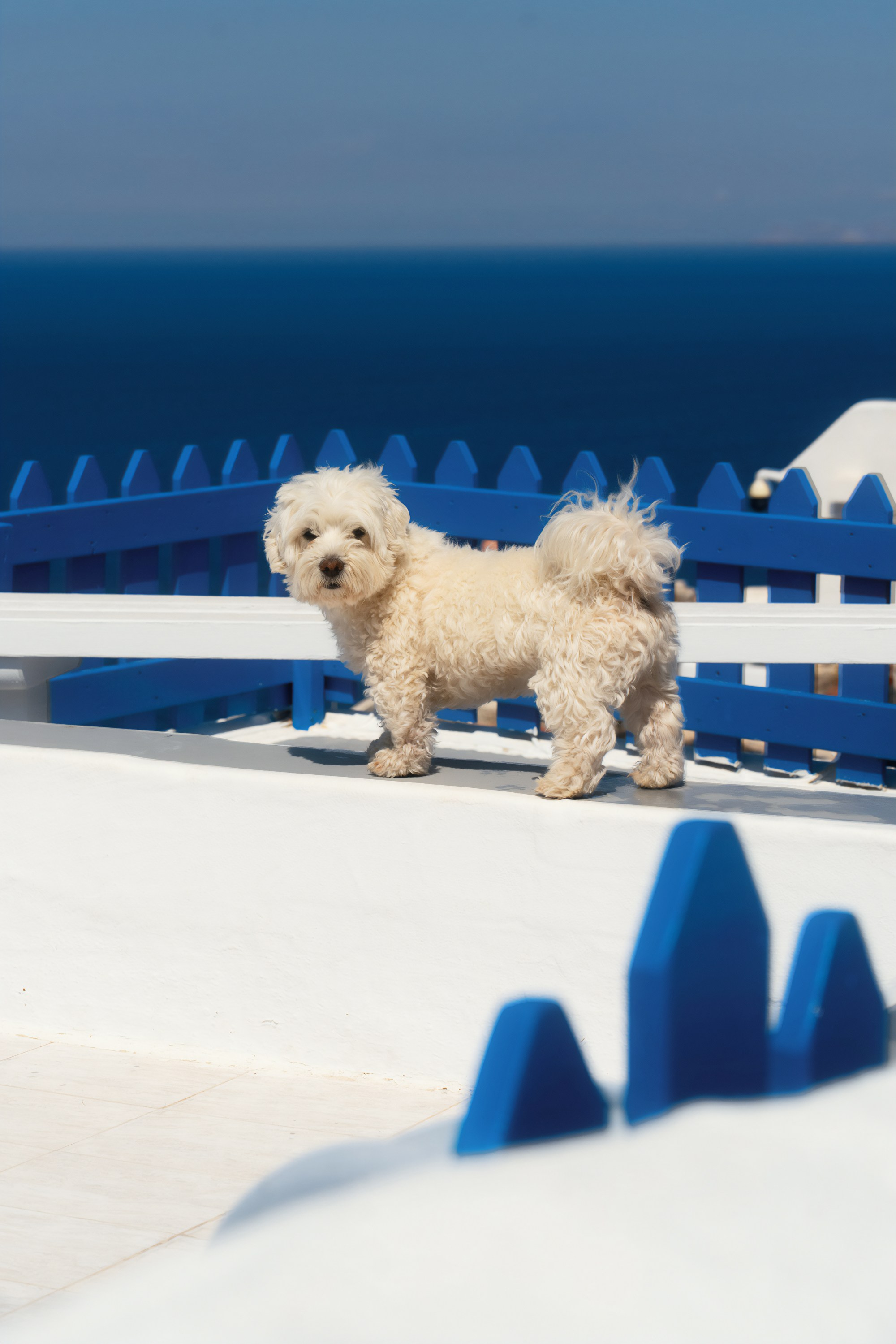 Турция, Греция, Иордания. Фотограф в Хабаровске. Фотография за 24 часа