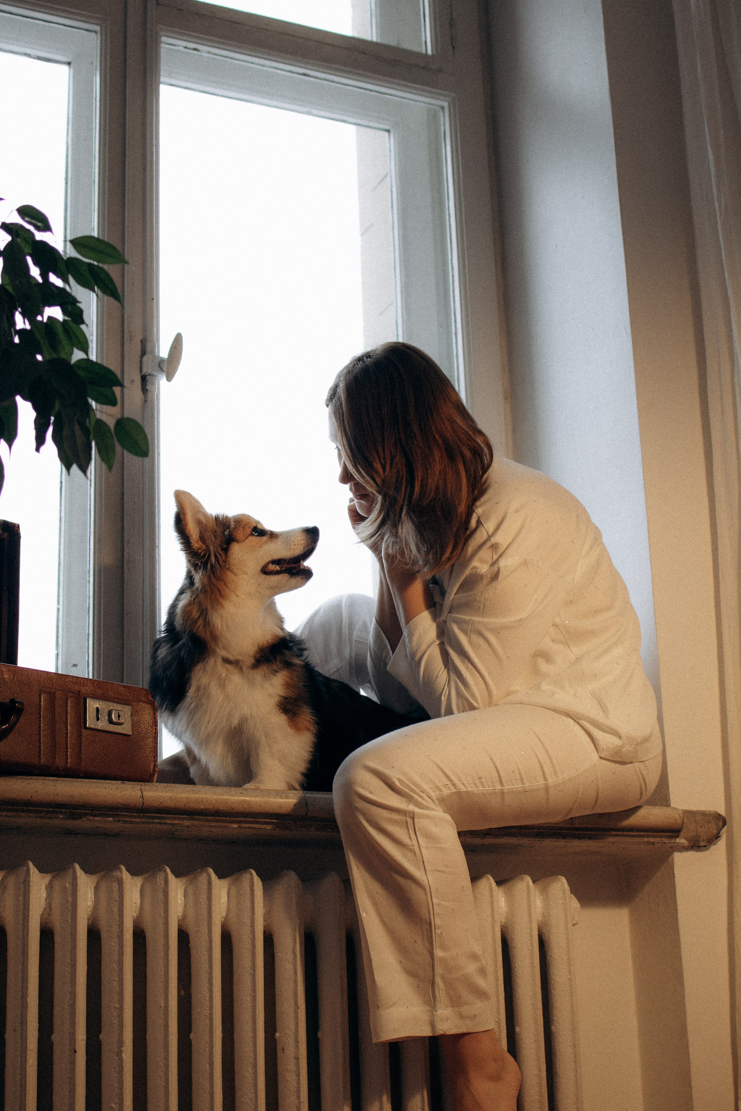 Мишель и Влада. Фотораф — анималист Мария Шистка