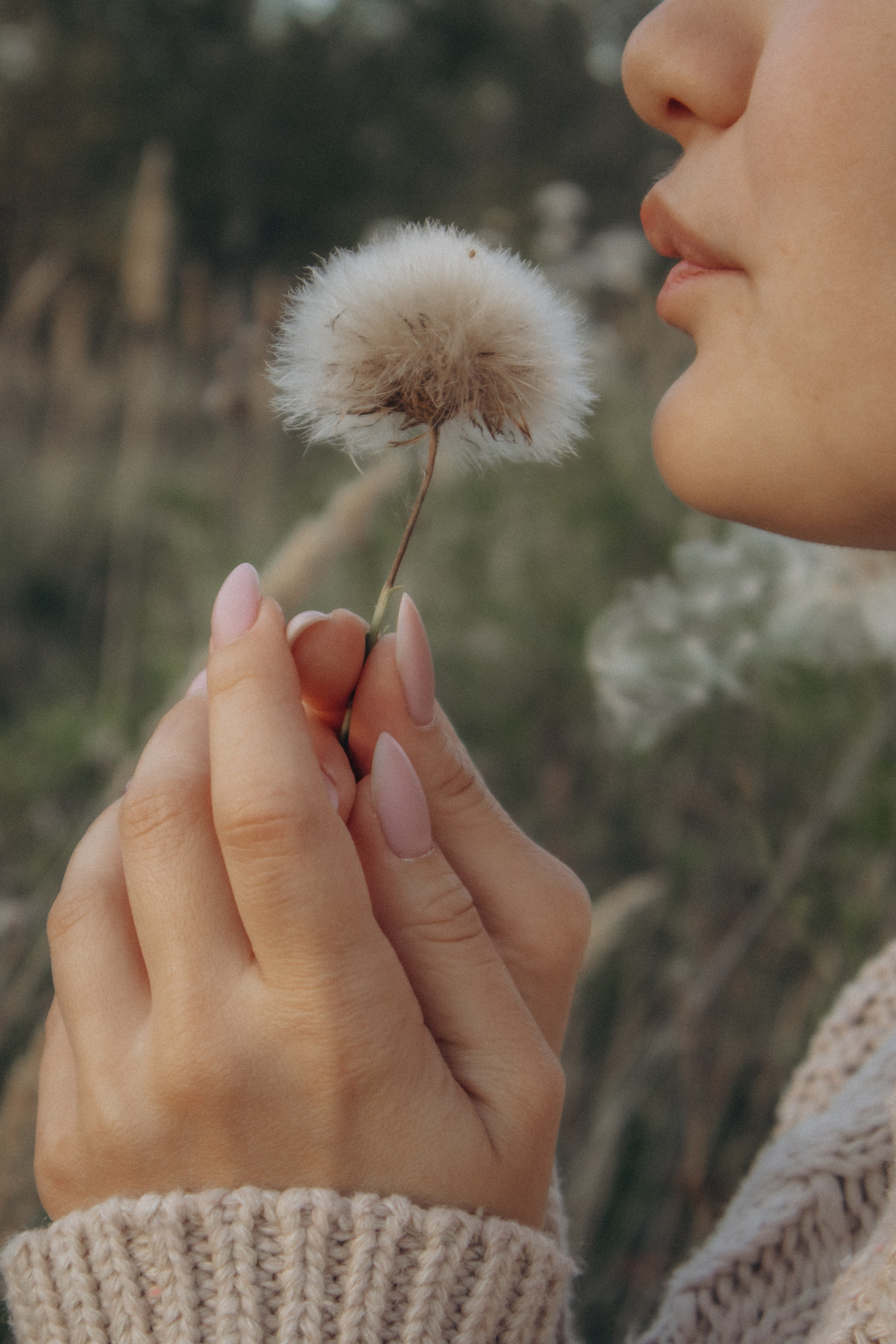 Юля. Осенняя фотосессия в поле. Юлия Левада Семейный и женский фотограф