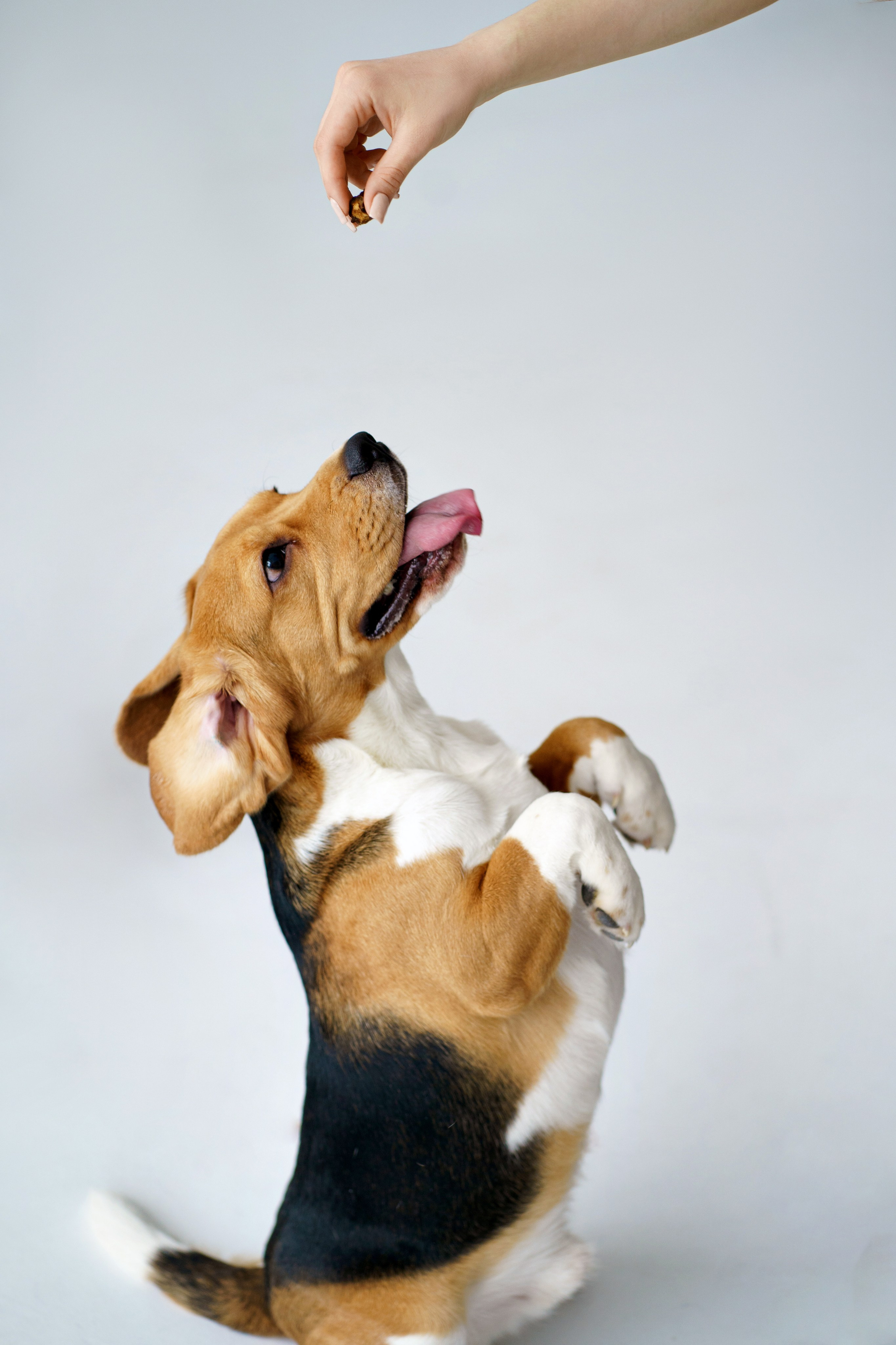 Настя&Лера. Главная