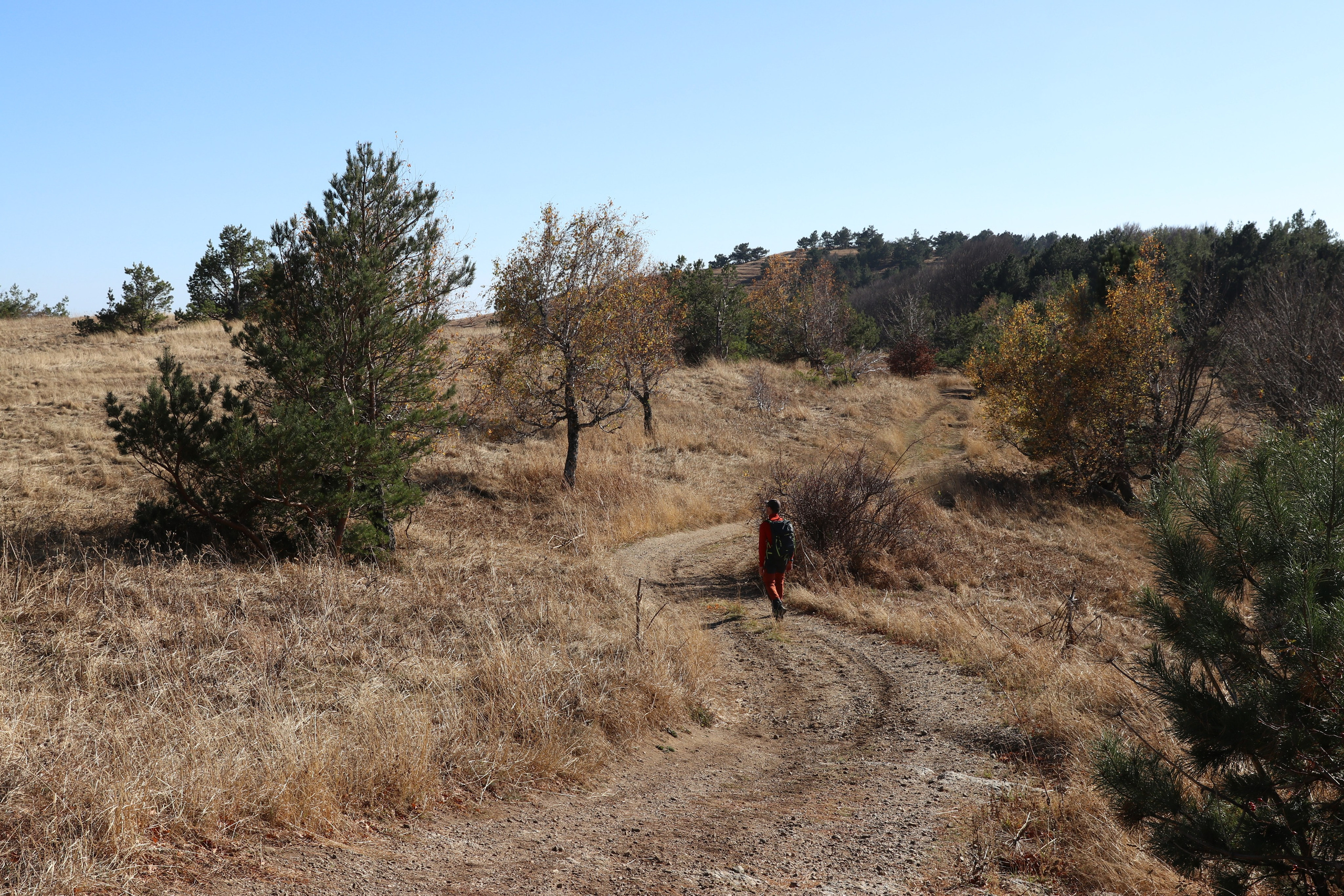 Крым. ЮБК (Гурзуф, Судак и их окрестности). Ноябрь 2023. Путешественник-фотограф из Санкт-Петербурга Татьяна Свистулина