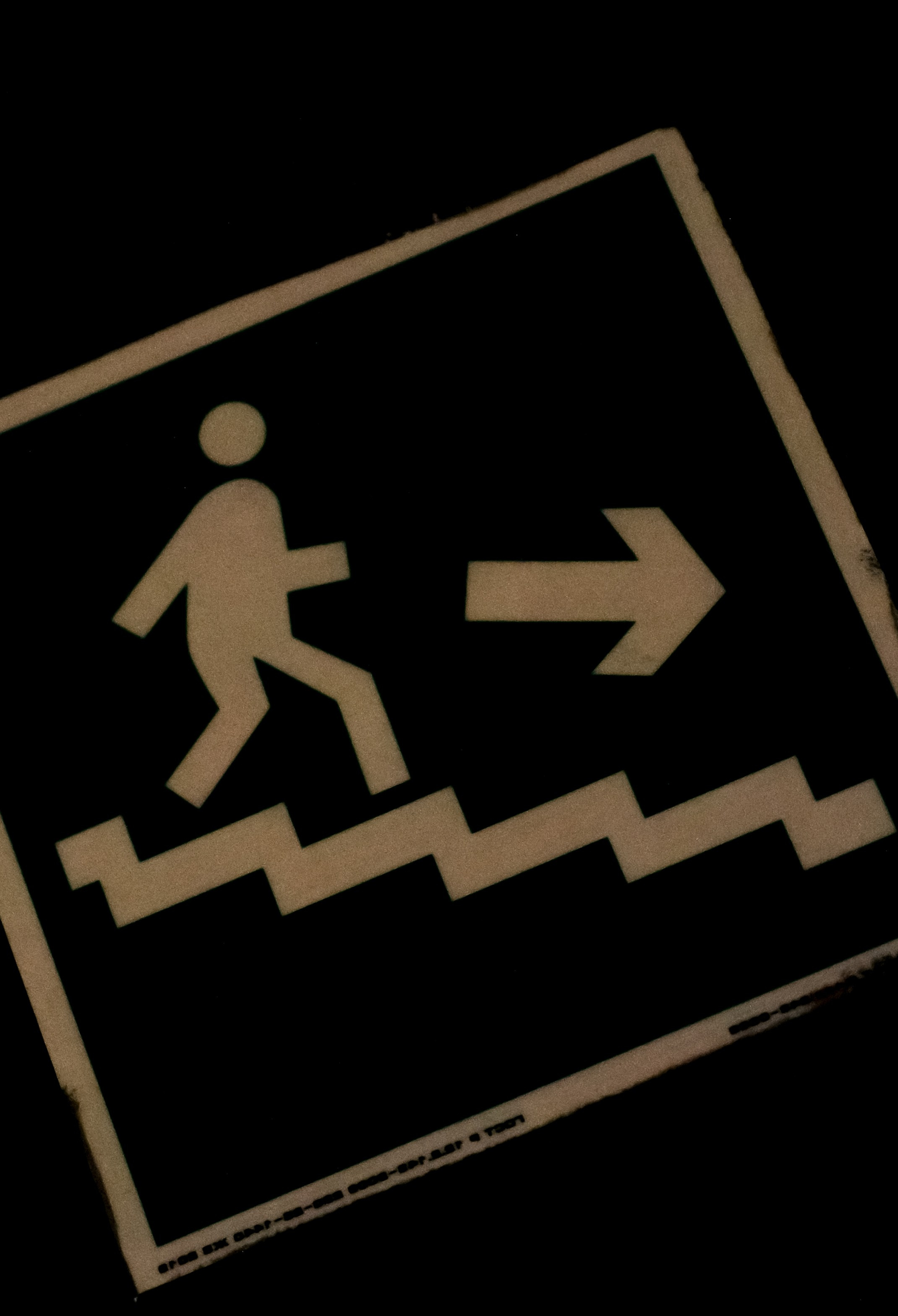 Ёлки. Свадебный фотограф Москва Анна Шилова