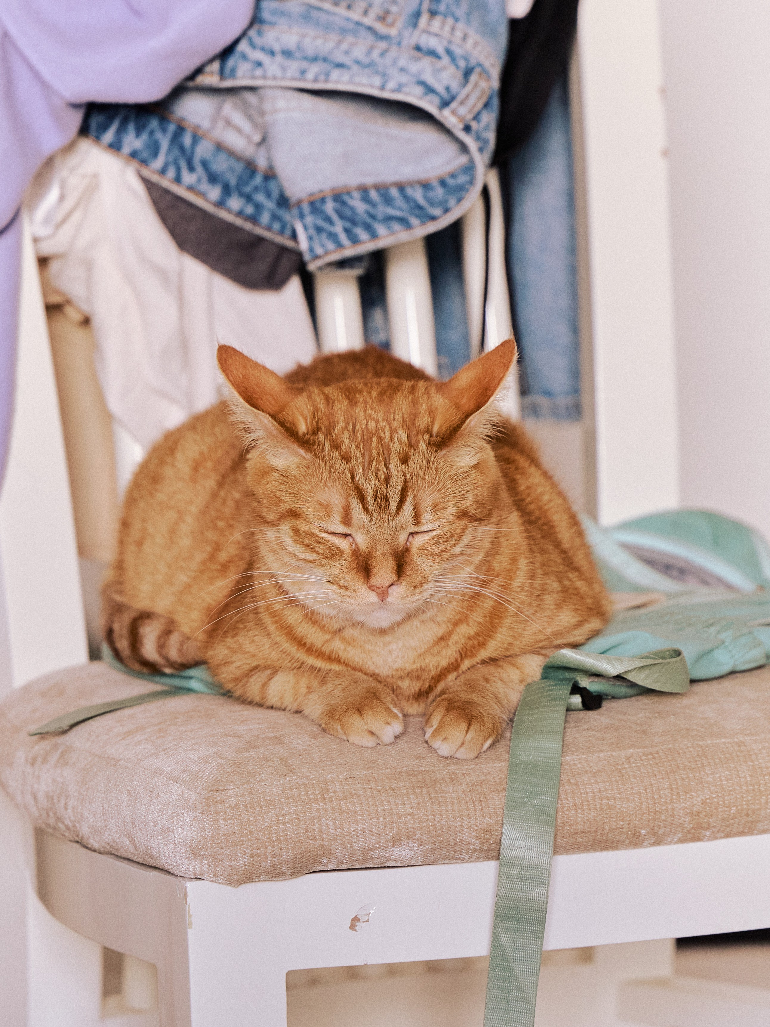 Другое 3. Jorgis — фотограф в Хургаде / обучение фотографии