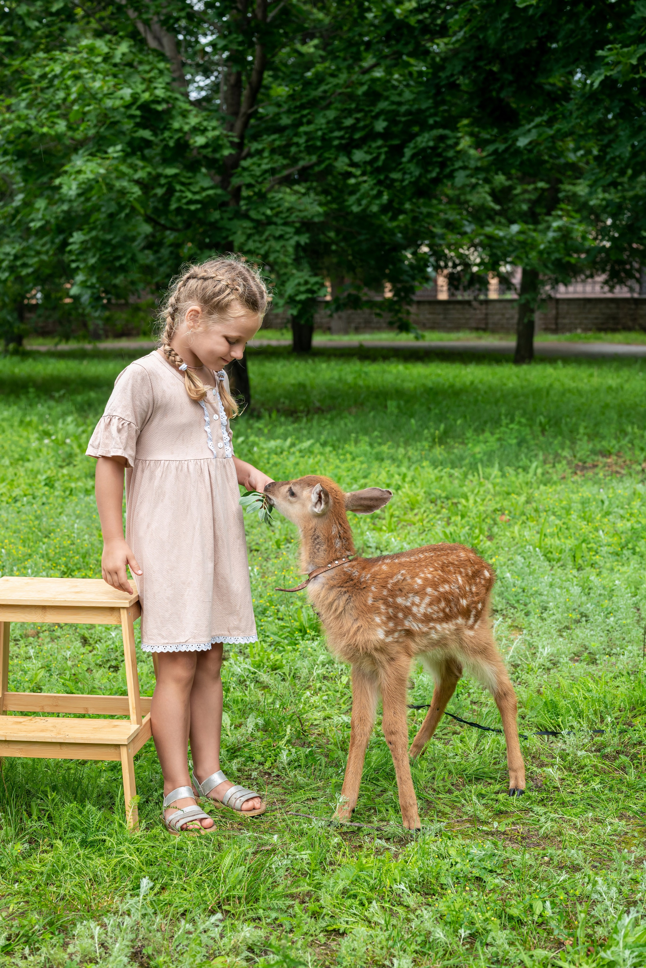 Фотопроект *Оленёнок Бэмби*. Фотограф в городе Салават