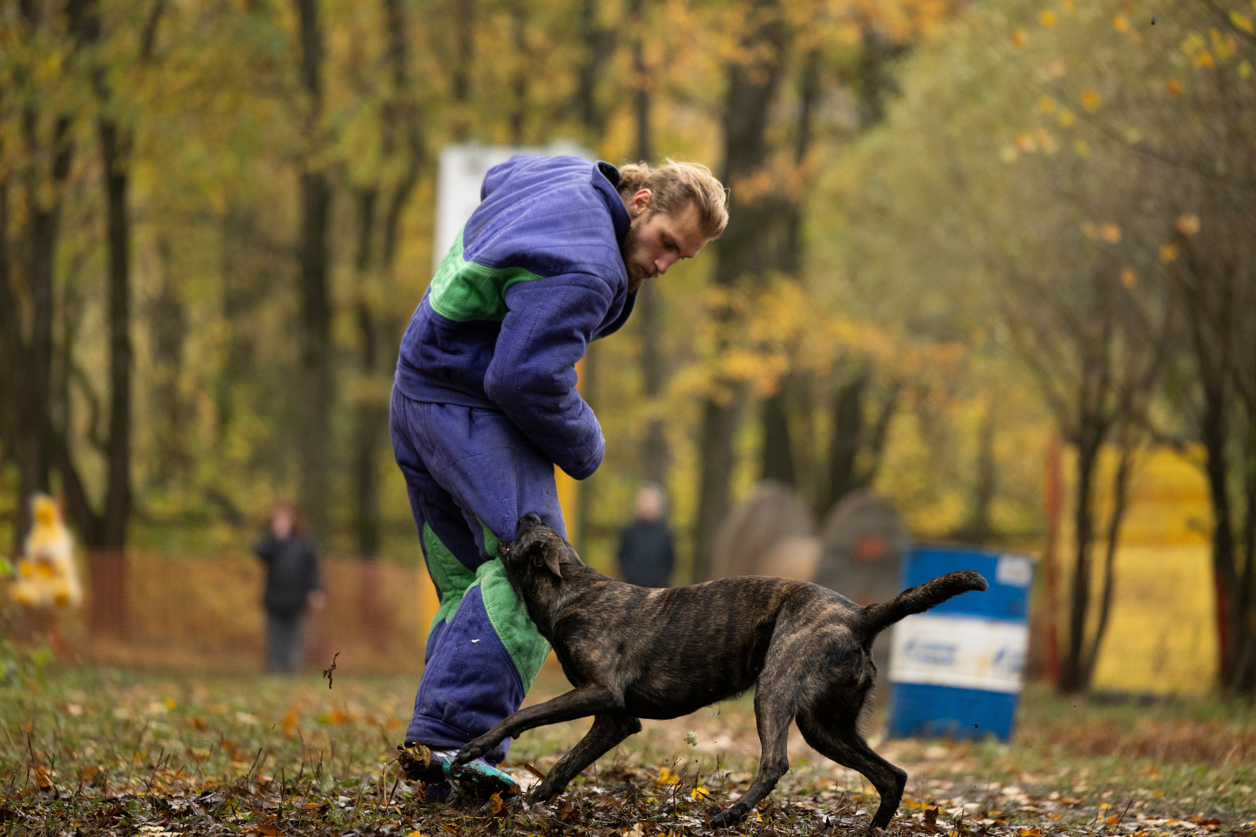 Соревнования по Мондьорингу г. Вологда. Фотограф-анималист Анна Маринич