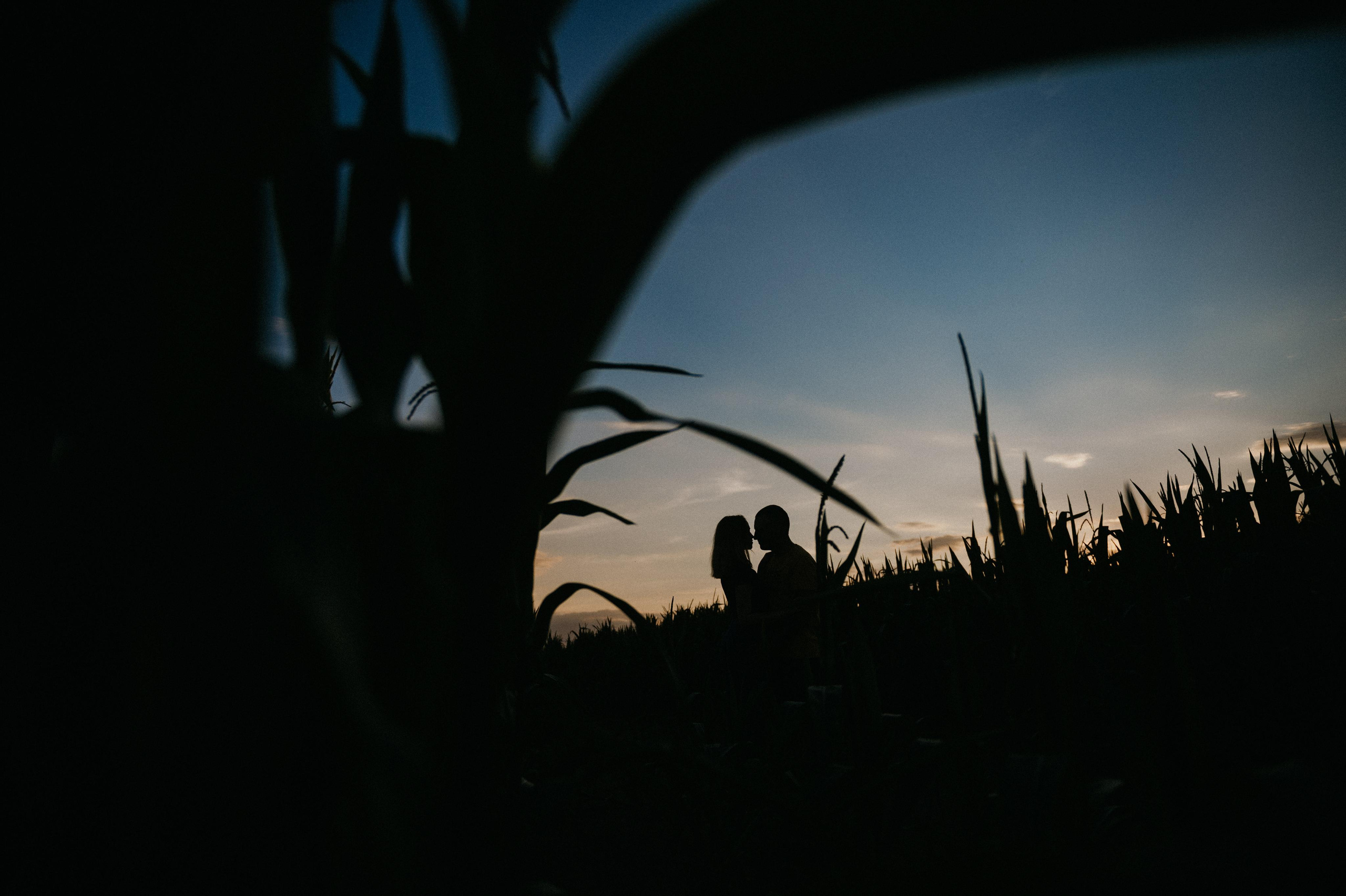 Денис и Вика. Свадебный и семейный фотограф в Минске Александра Божок