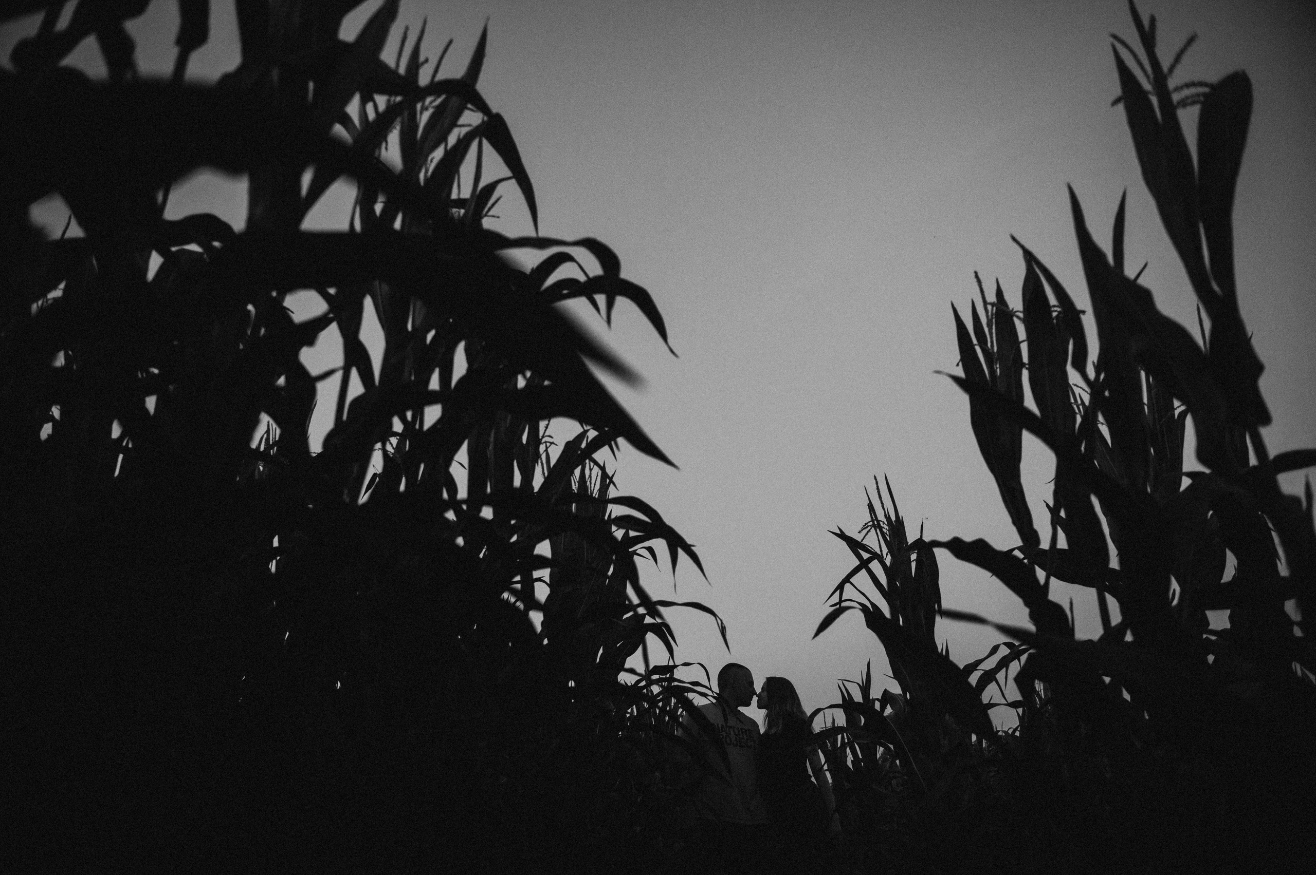 Денис и Вика. Свадебный и семейный фотограф в Минске Александра Божок