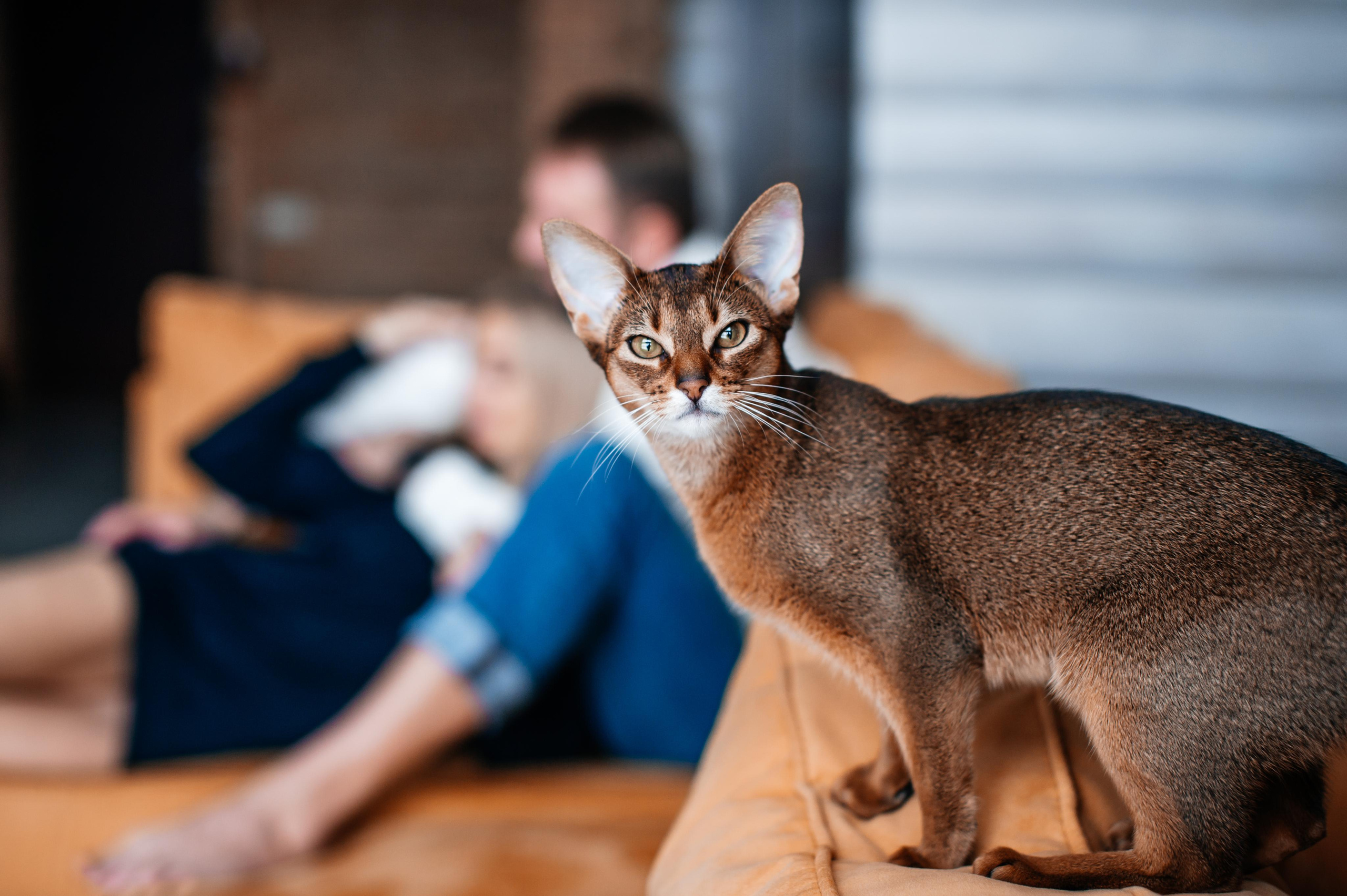 Олег и Таня. Свадебный и семейный фотограф в Минске Александра Божок