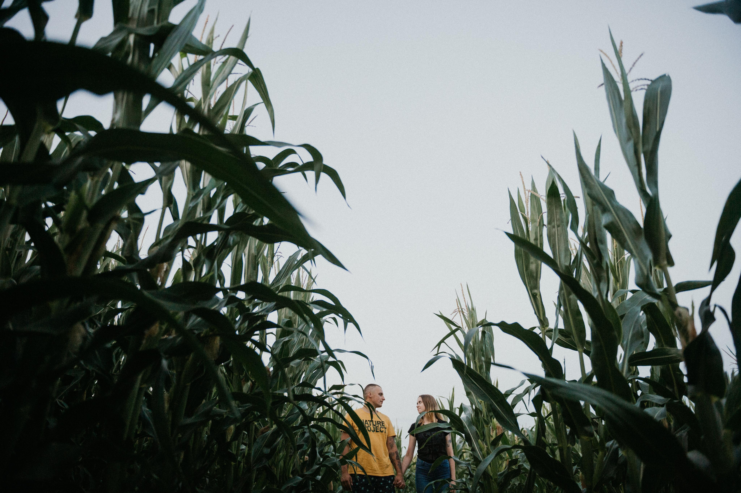 Денис и Вика. Свадебный и семейный фотограф в Минске Александра Божок