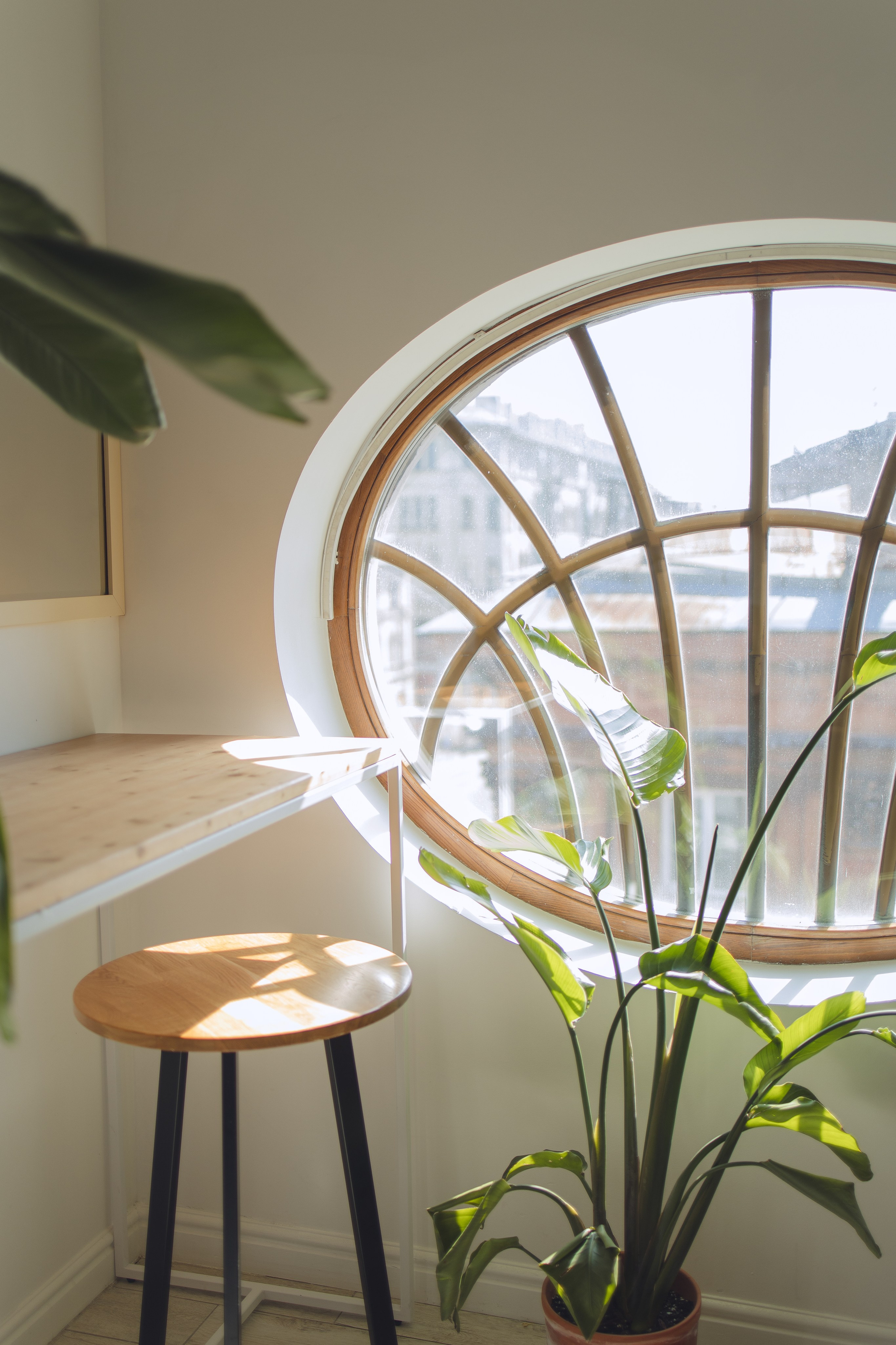 Дом Флоу (кофейня). Фотограф в Санкт-Петербурге Осокина Елизавета