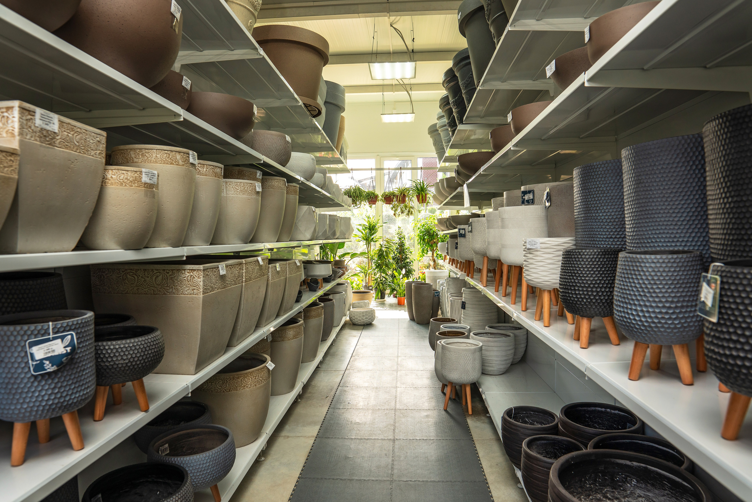 Садовый центр Зеленый город. Фотограф Сочи