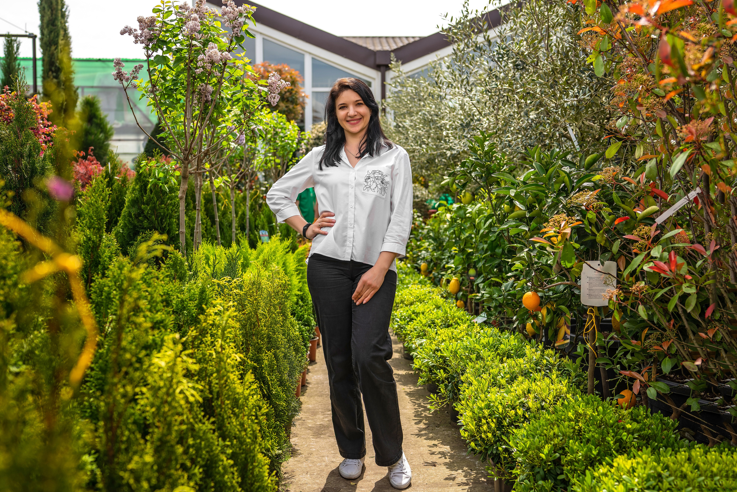 Садовый центр Зеленый город. Фотограф Сочи