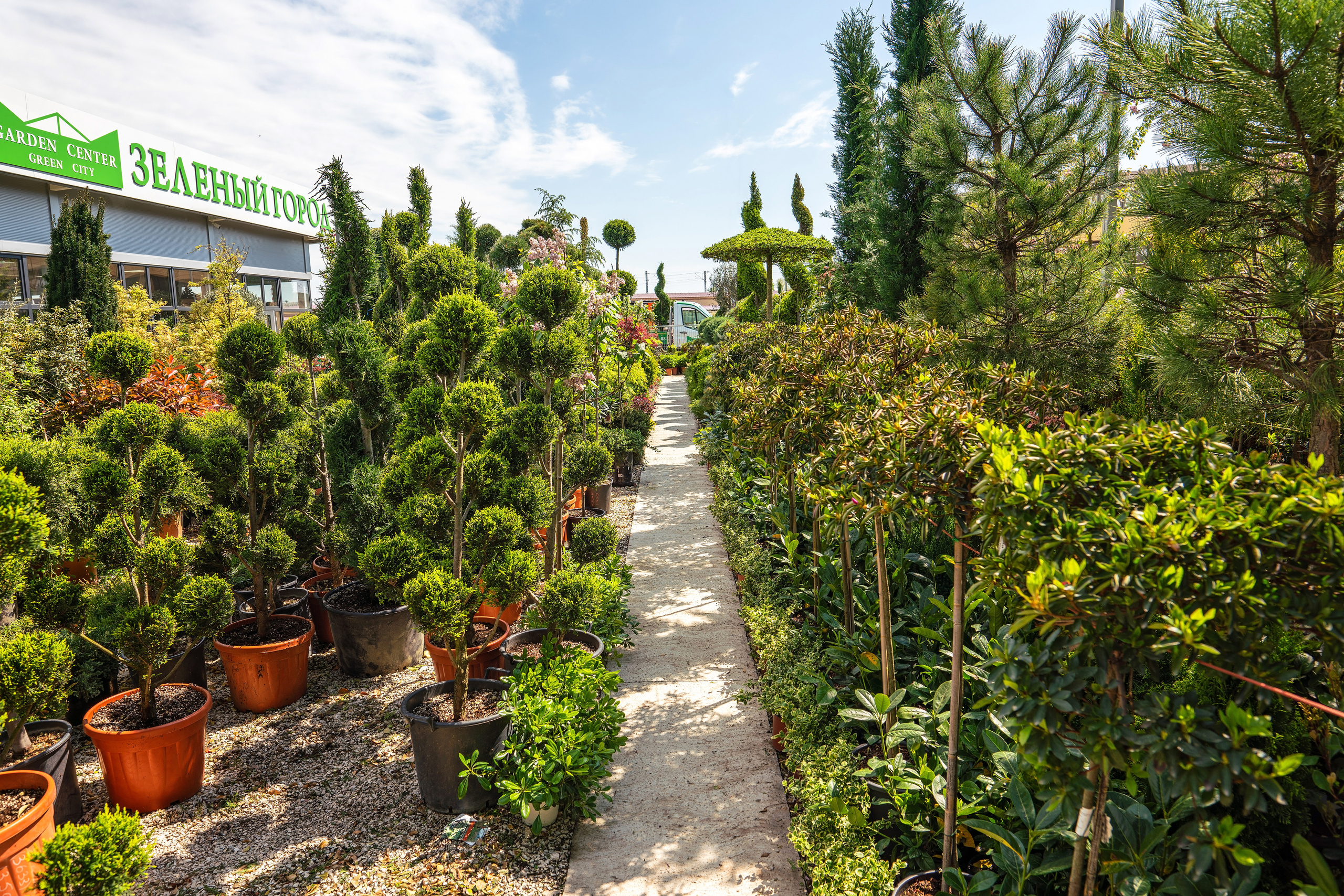 Садовый центр Зеленый город. Фотограф Сочи