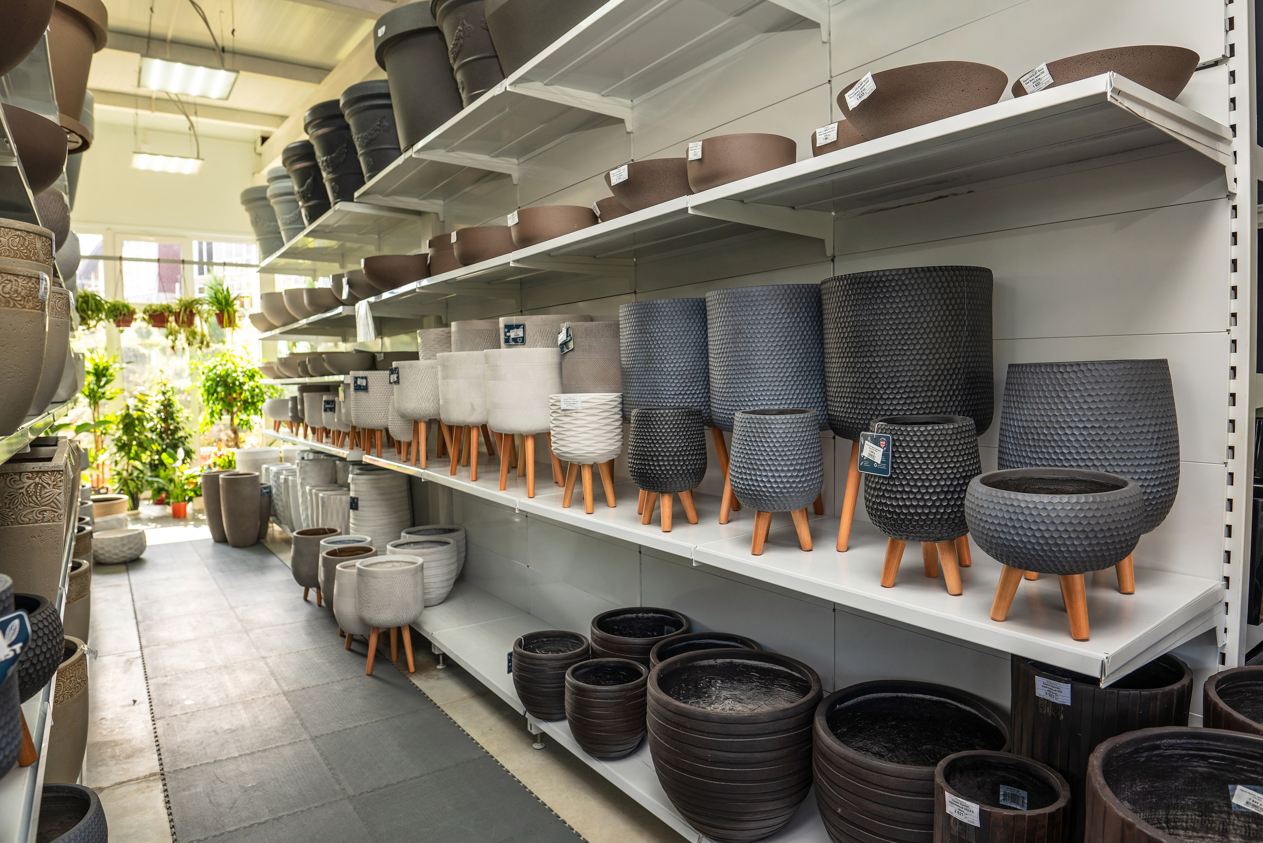 Садовый центр Зеленый город. Фотограф Сочи