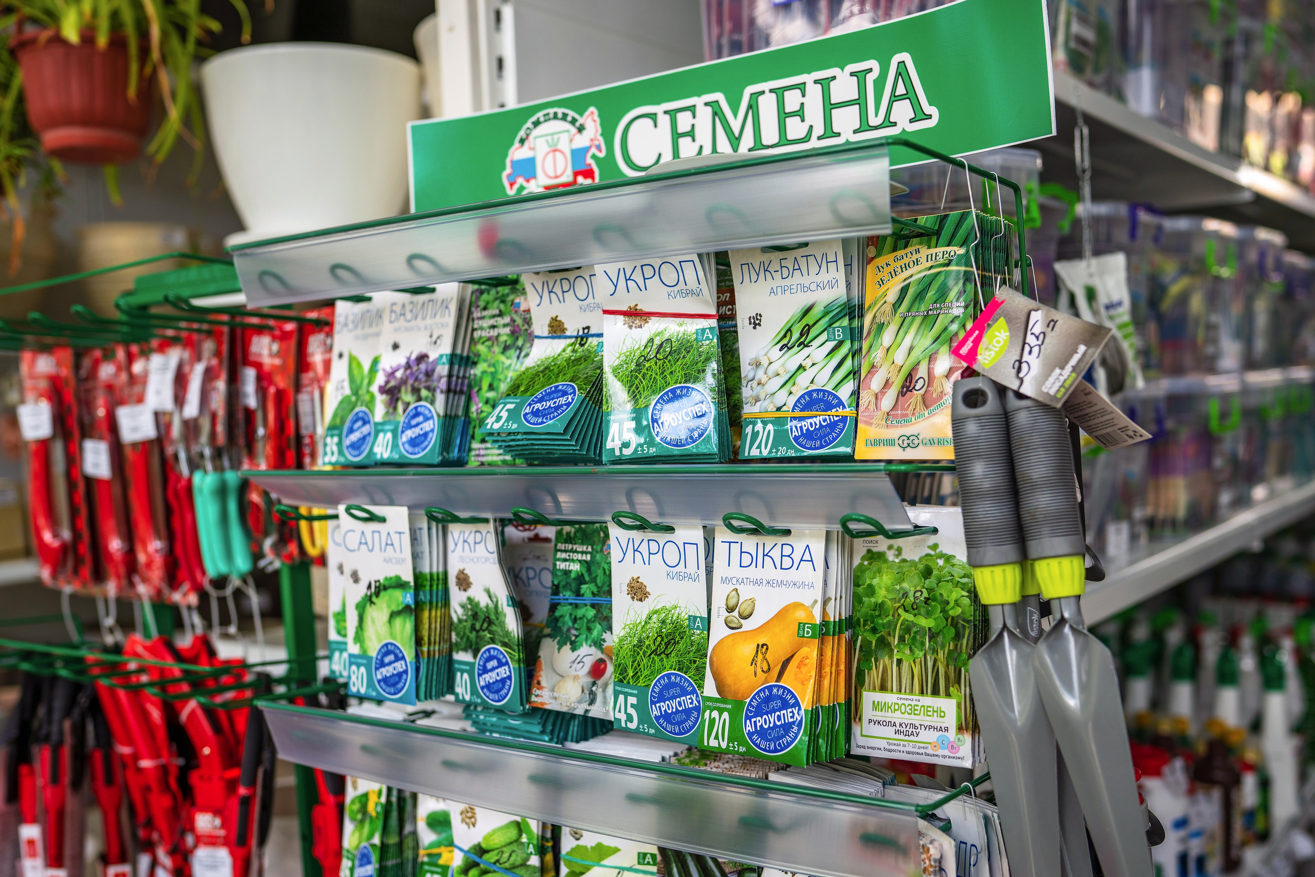 Садовый центр Зеленый город. Фотограф Сочи