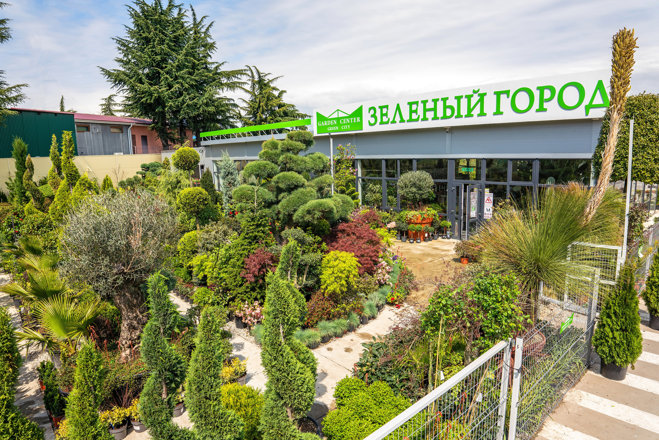 Садовый центр Зеленый город. Фотограф Сочи