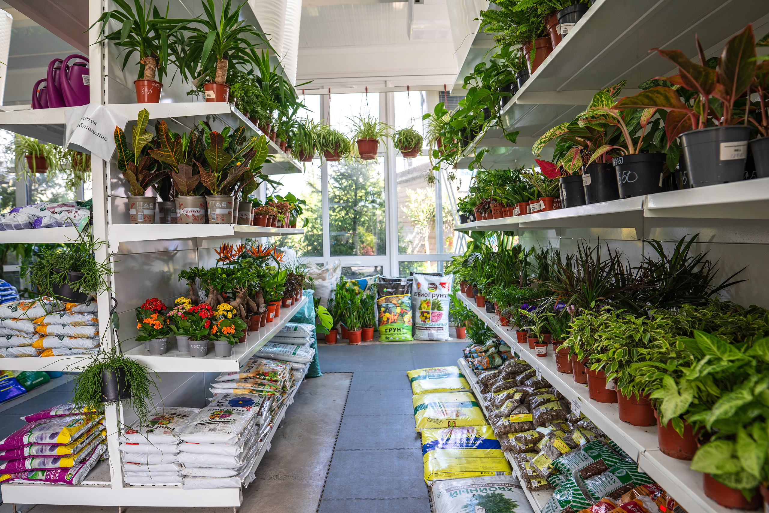 Садовый центр Зеленый город. Фотограф Сочи