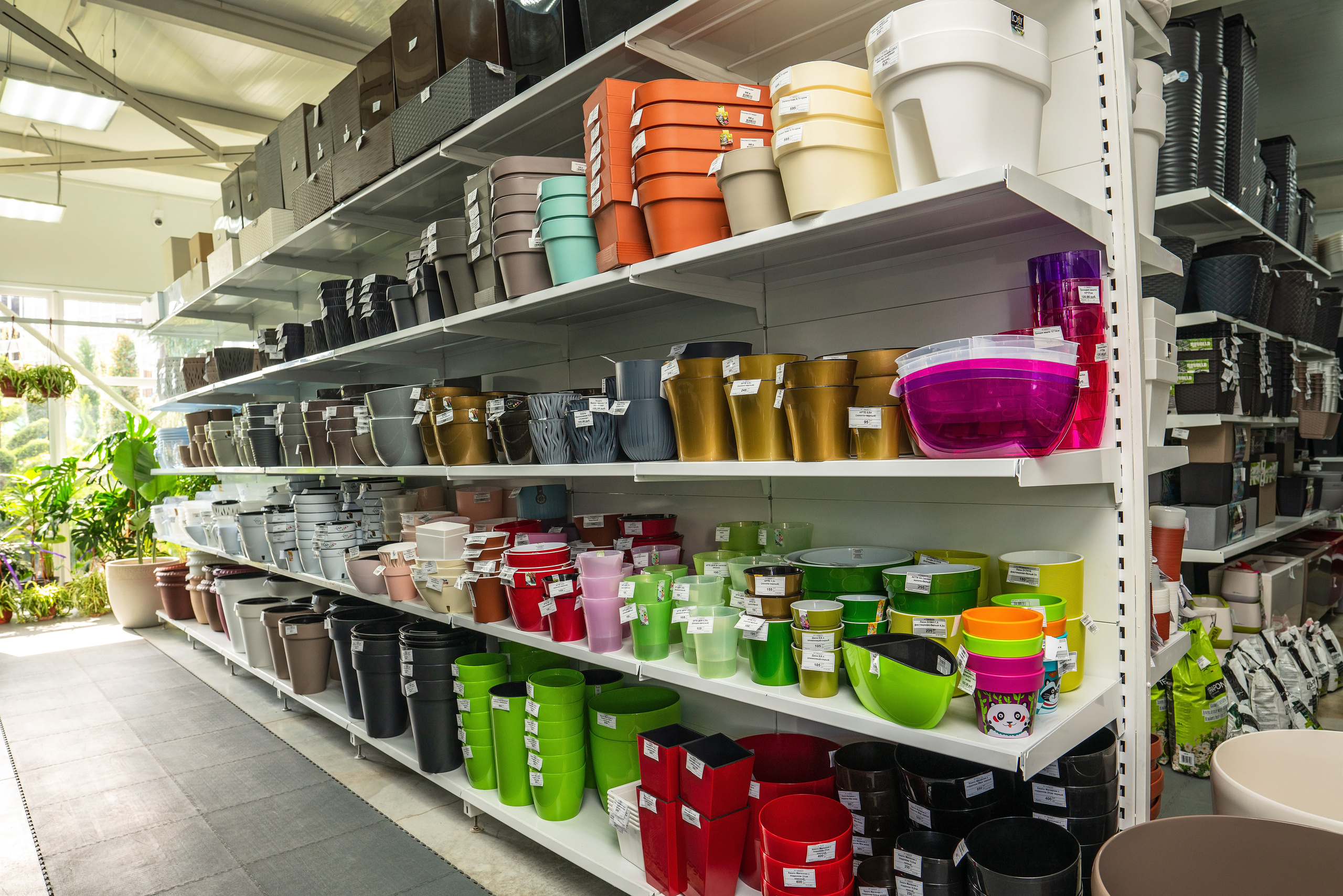 Садовый центр Зеленый город. Фотограф Сочи