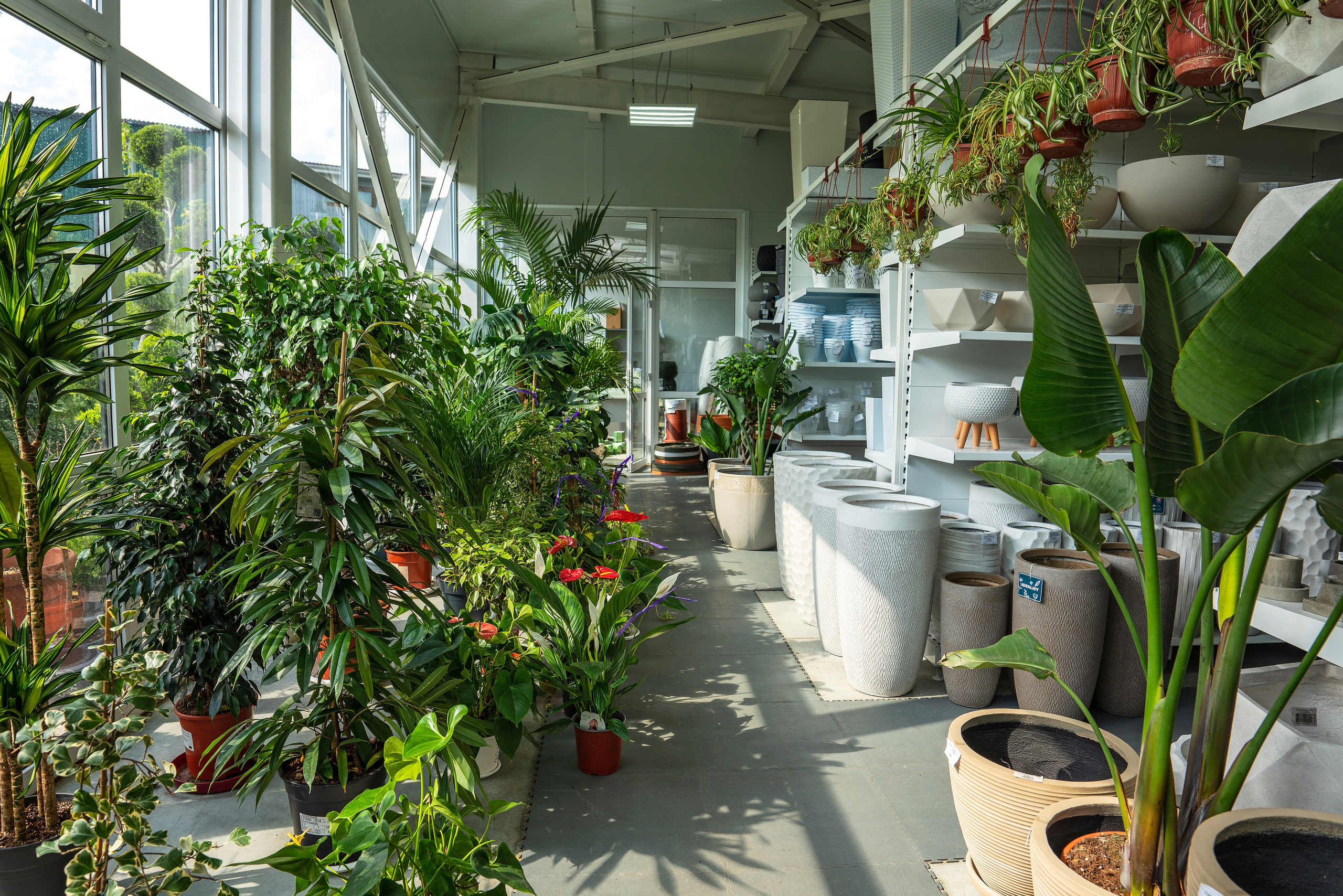 Садовый центр Зеленый город. Фотограф Сочи