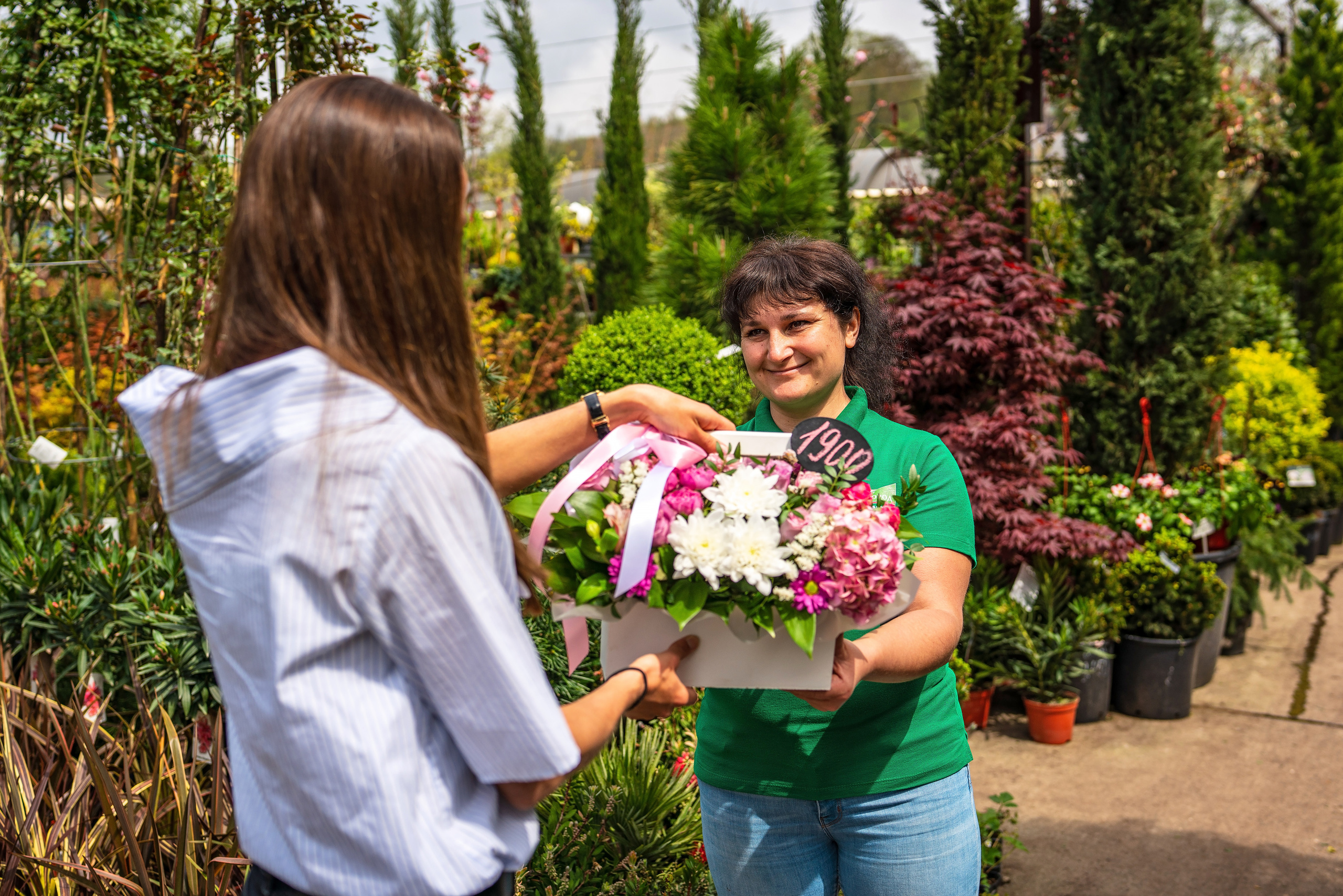 Садовый центр Зеленый город. Фотограф Сочи