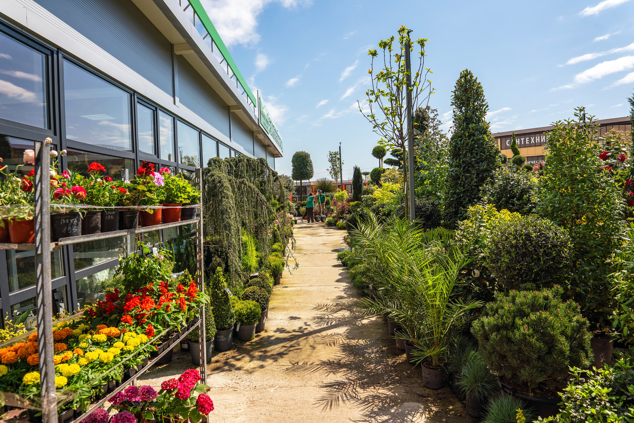 Садовый центр Зеленый город. Фотограф Сочи